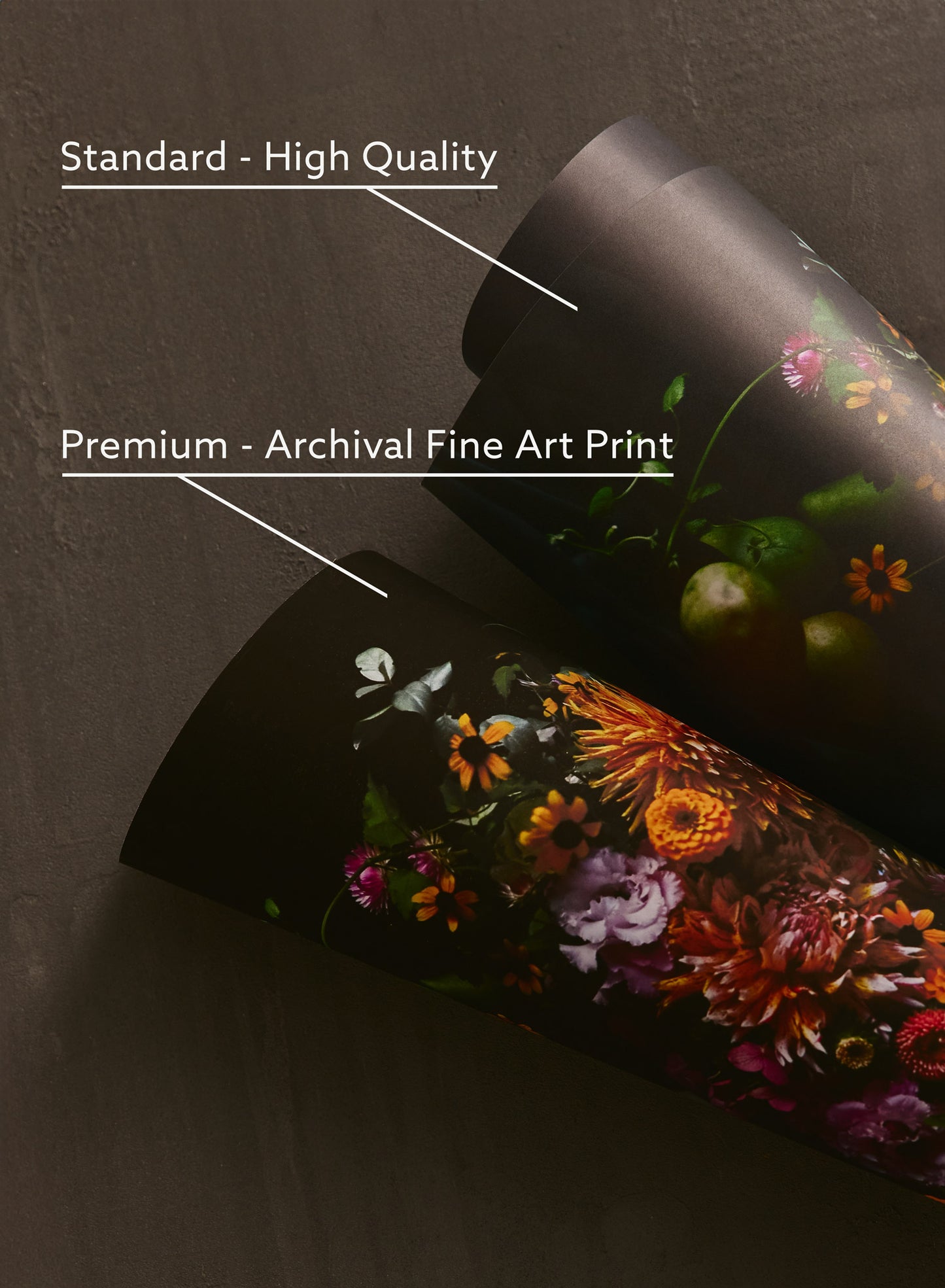 Ombres vibrantes, Affiche