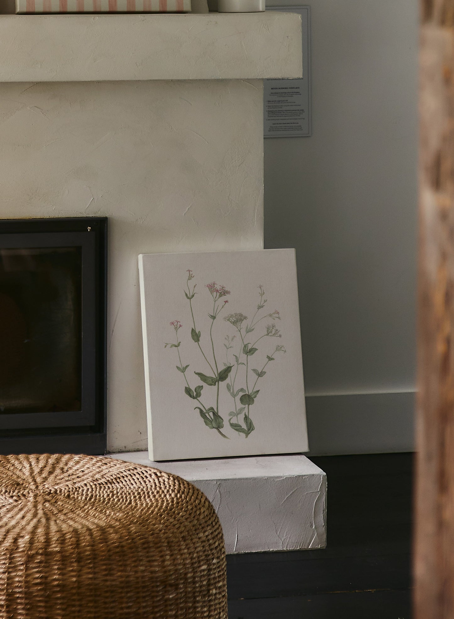 Senna et Catchfly, Affiche