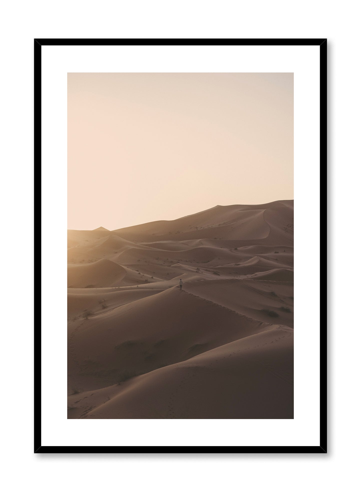 Saharan Solitude, Poster