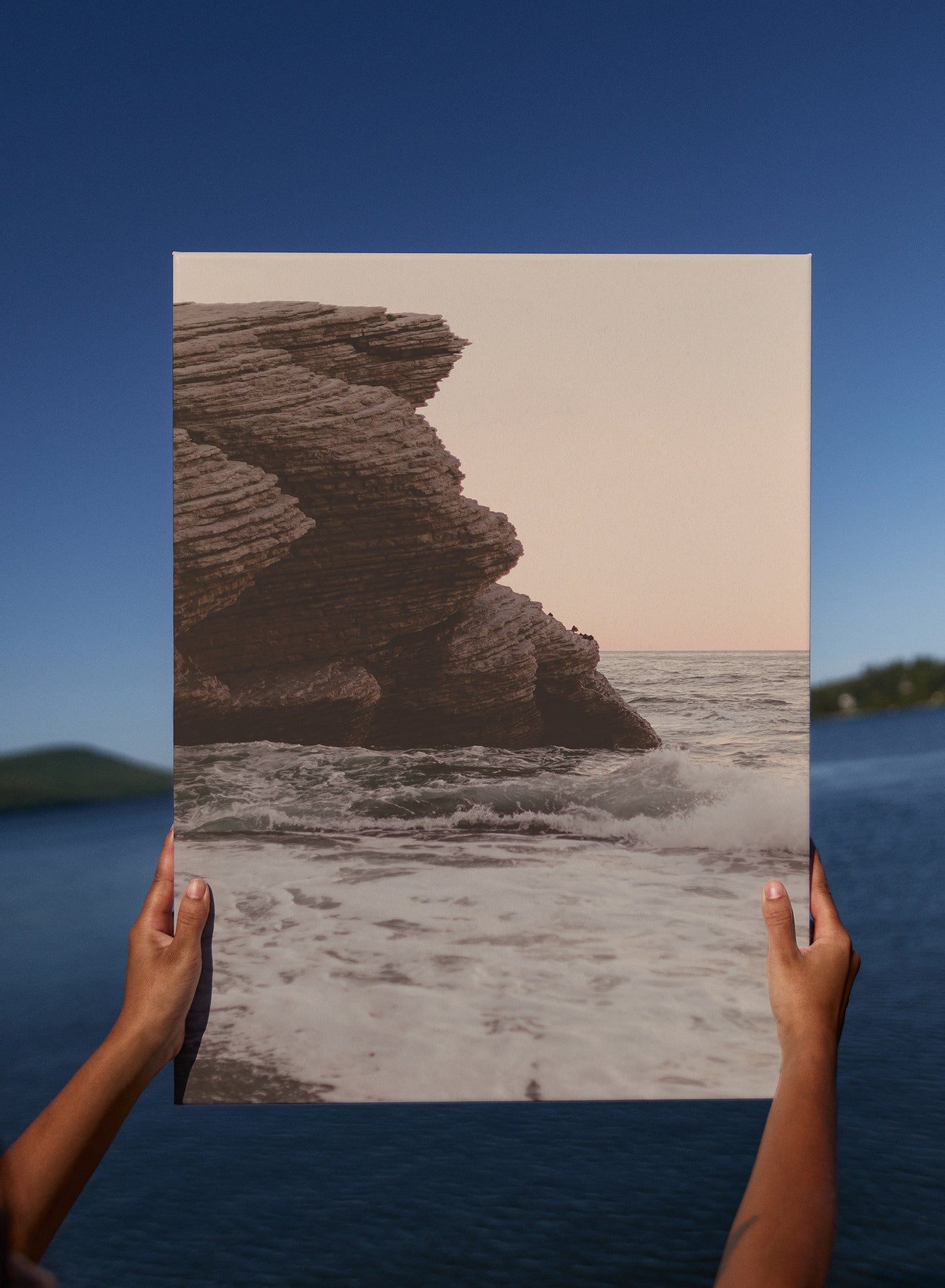 L'été au parc Florillon, Affiche