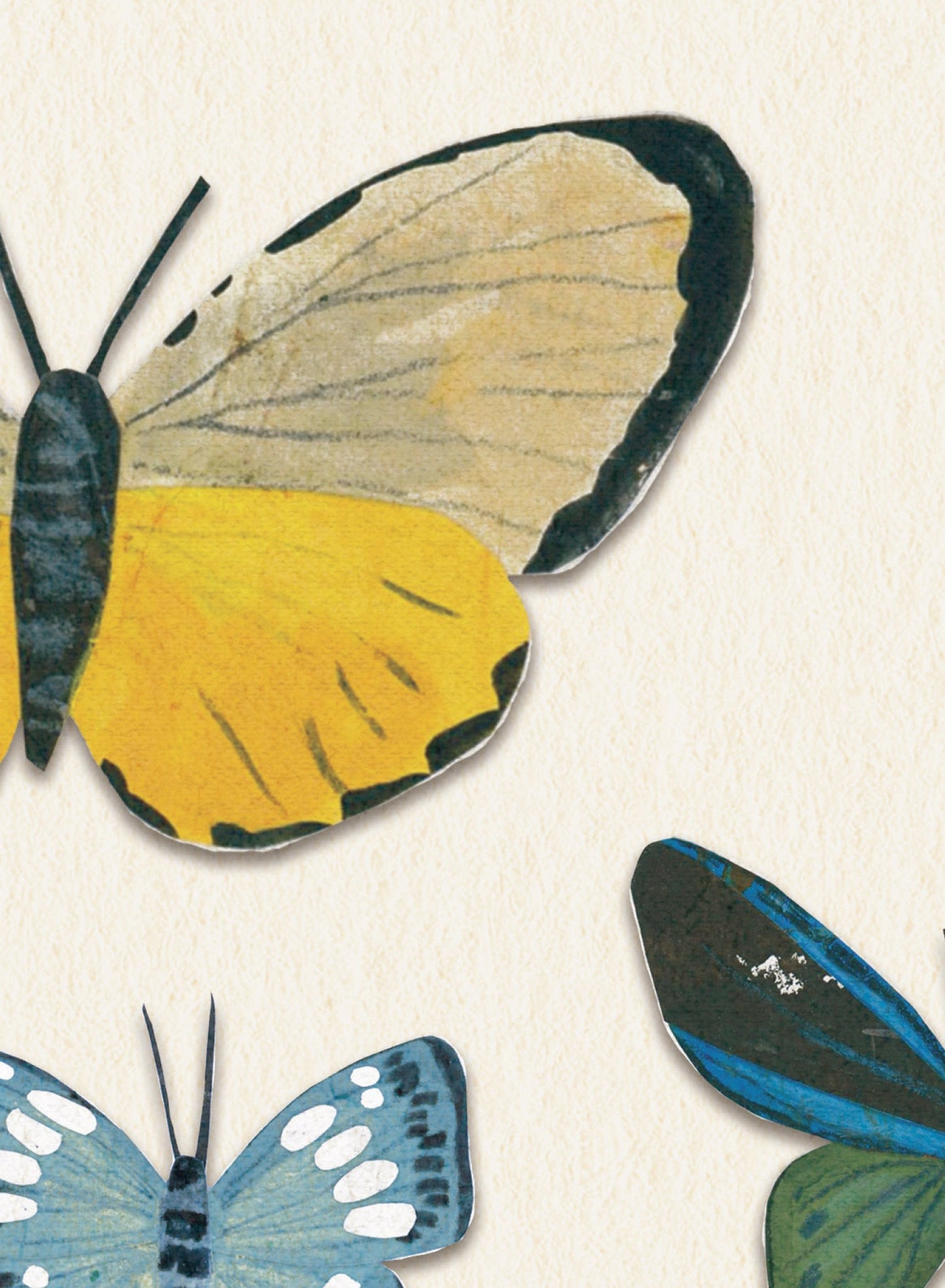 Little Butterfly Beauties, Canvas