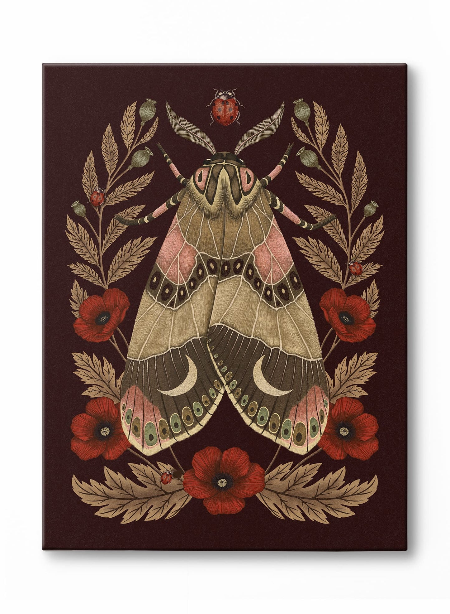 Papillon de minuit, Affiche