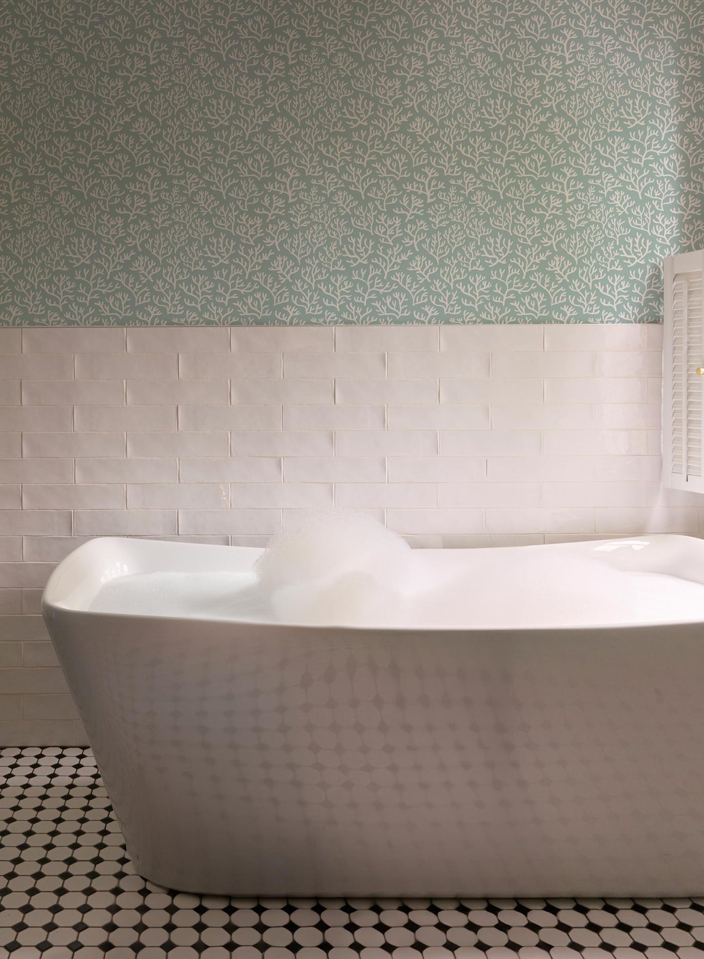 Club corail, Papier peint