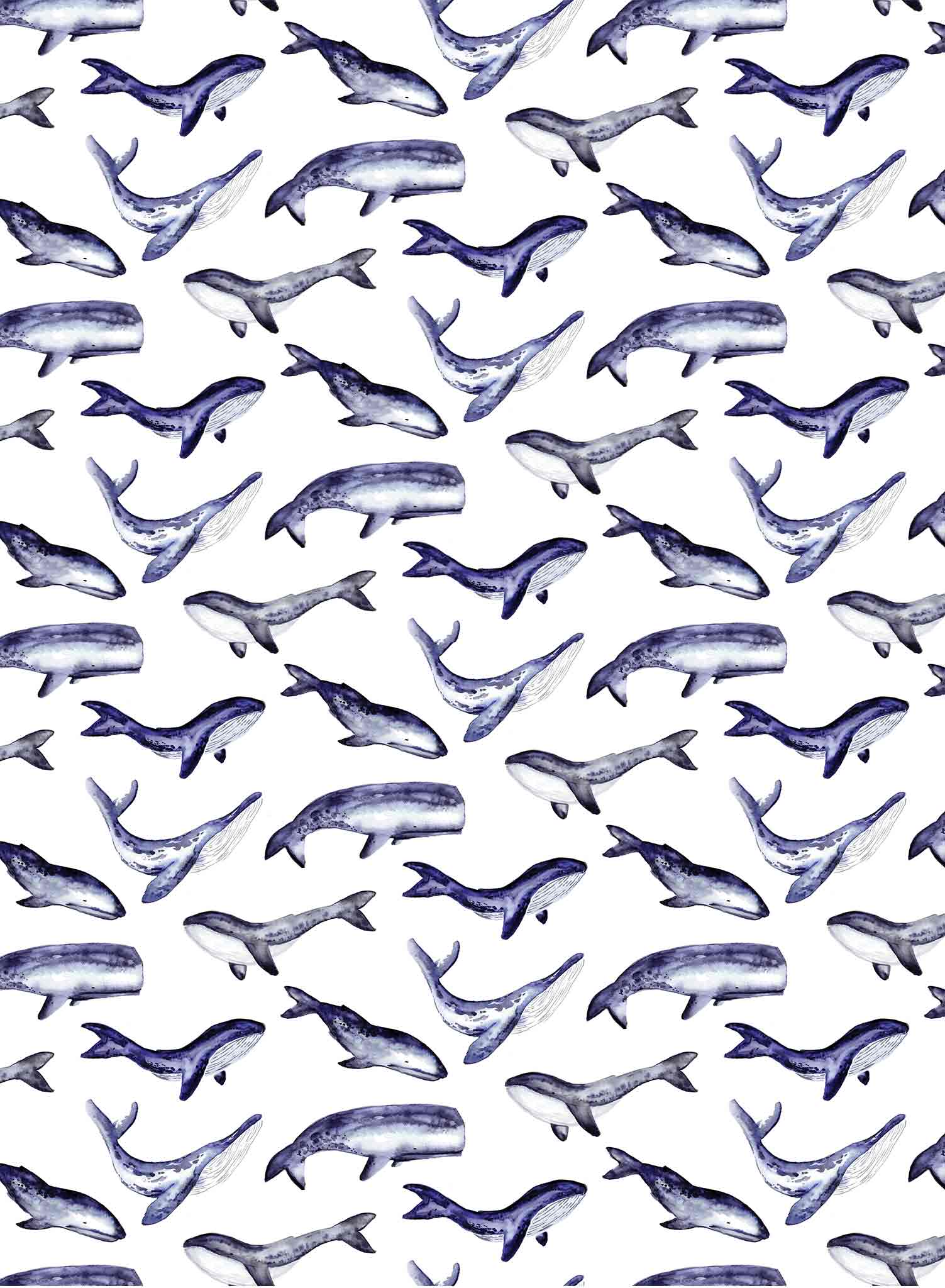 Whale Tale is a minimalist wallpaper by Opposite Wall of a collection of various whale types.