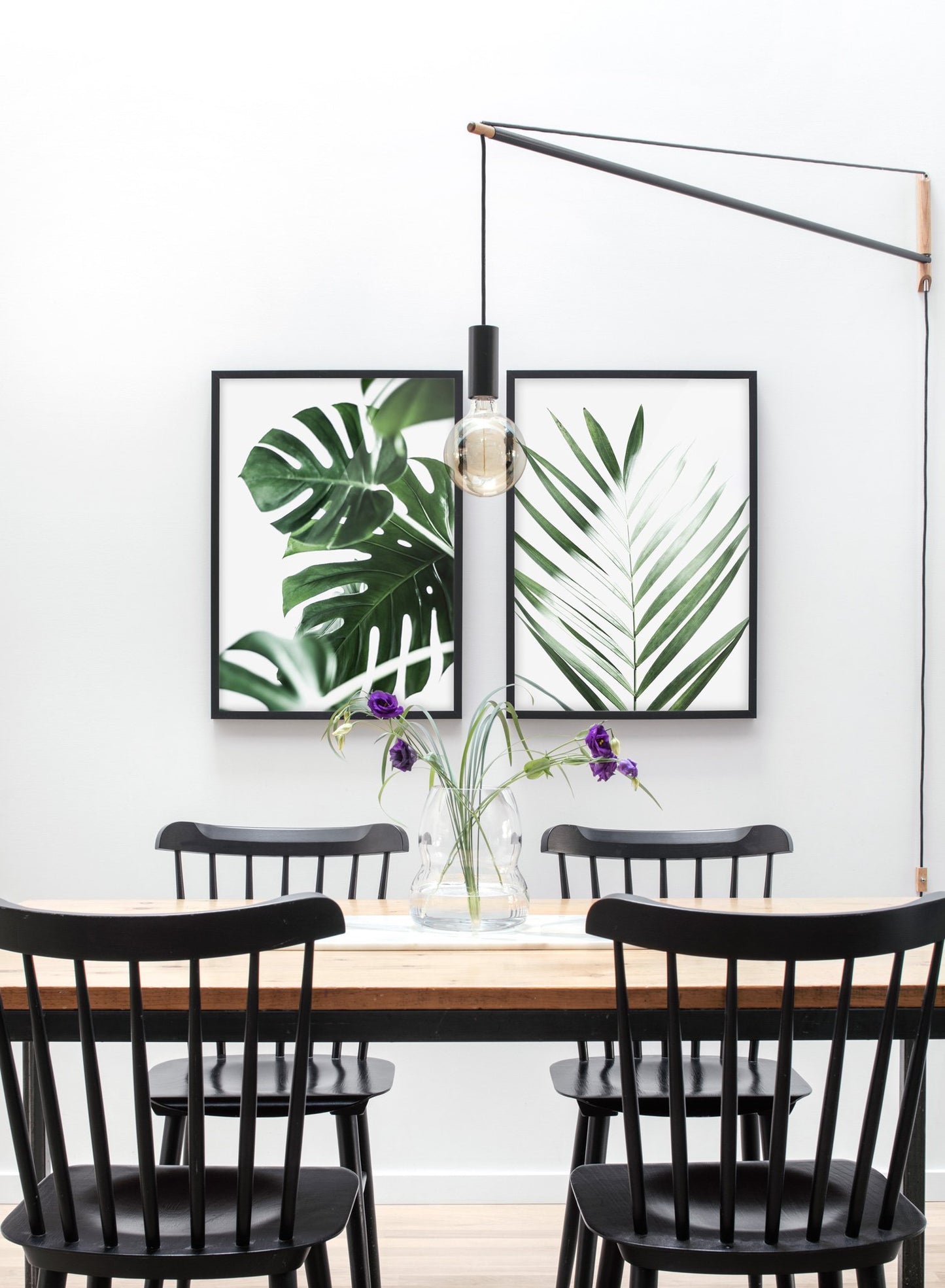 Modern minimalist poster by Opposite Wall with green Monstera still life botanical photography called Wild Ways