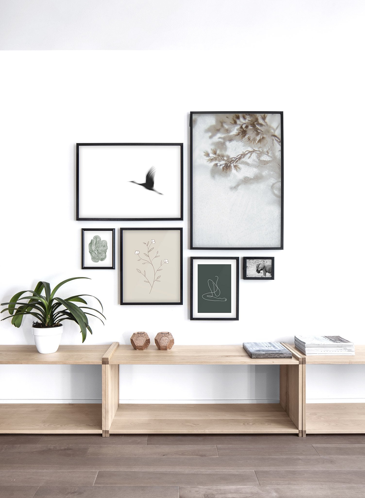 Modern minimalist botanical photography poster by Opposite Wall with Icy Petals - Lifestyle Gallery - Living Room
