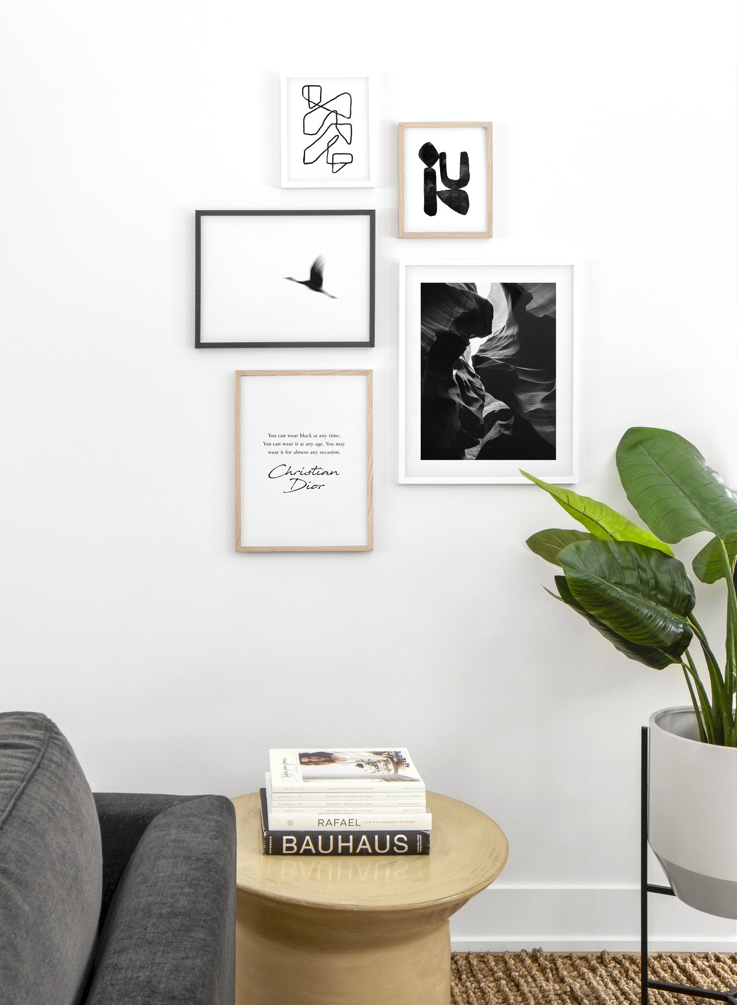 Modern minimalist photography by Opposite Wall with black and white photography of bird in flight - Lifestyle Gallery - Living Room