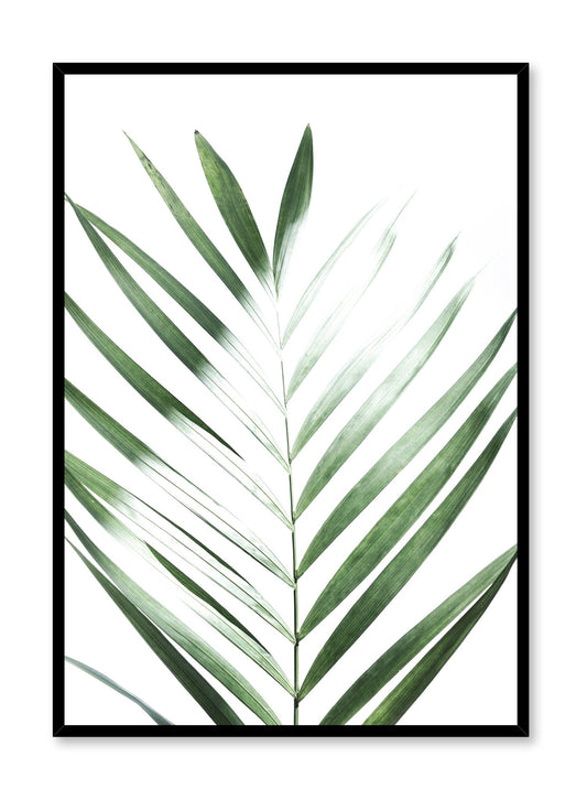 Modern minimalist poster by Opposite Wall with Sunlight palm leaf photo art