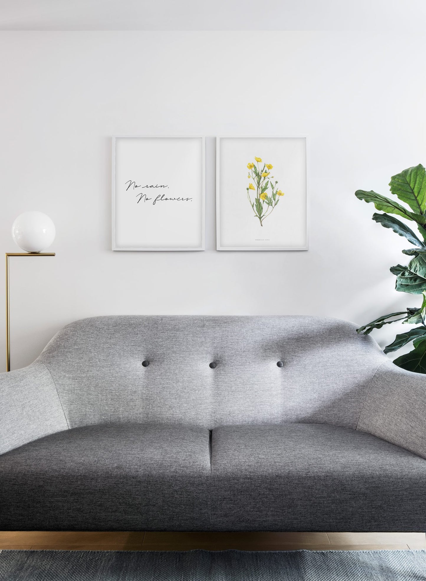 Modern minimalist poster by Opposite Wall with encyclopedic illustration of Ranunculus Acris and no rain, no flowers quote - living room