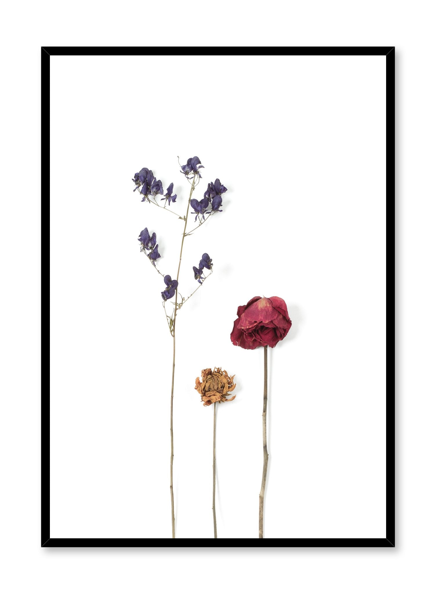 Scandinavian Photography Poster with dried flowers