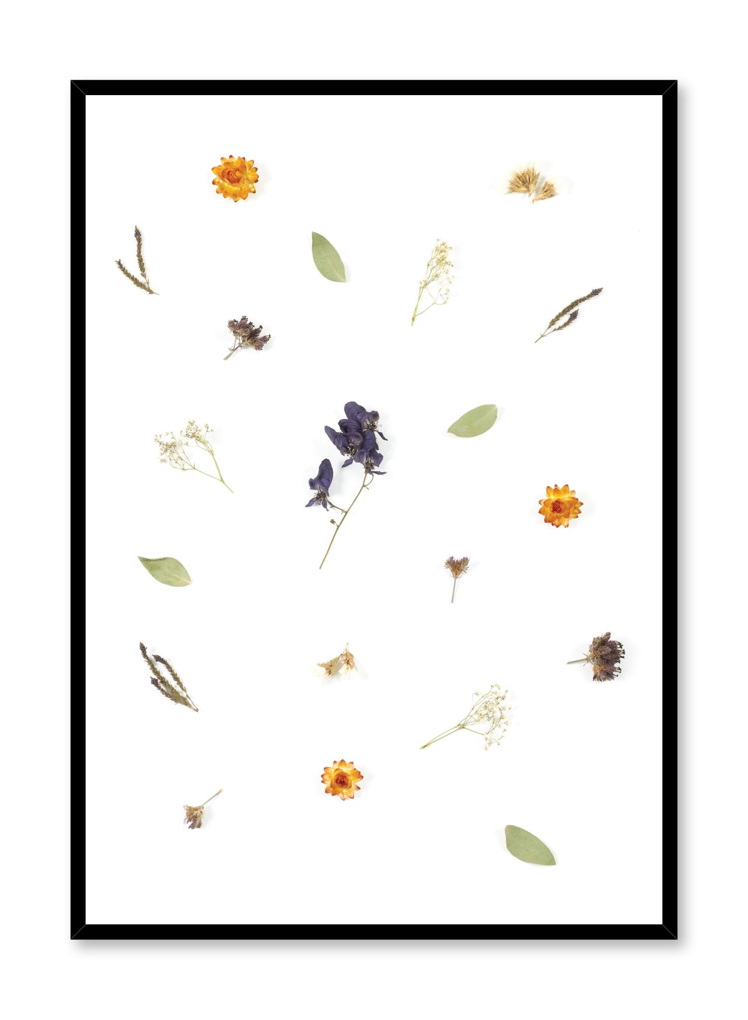 Scandinavian art photo print by Opposite Wall with multiple dried flowers