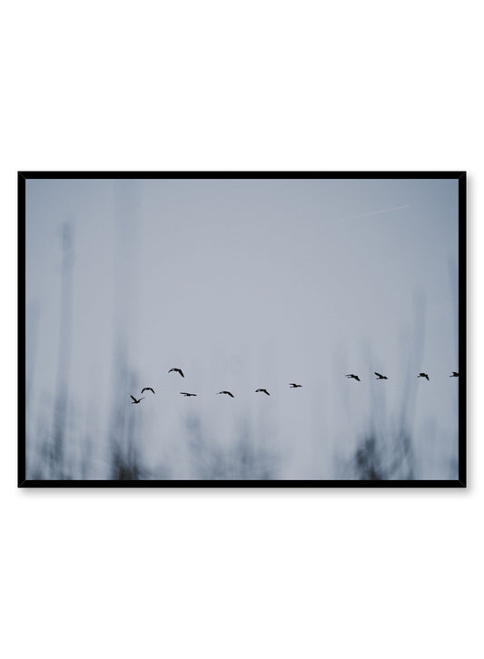 Minimalist design poster by Opposite Wall with Flying Bird Formation photography
