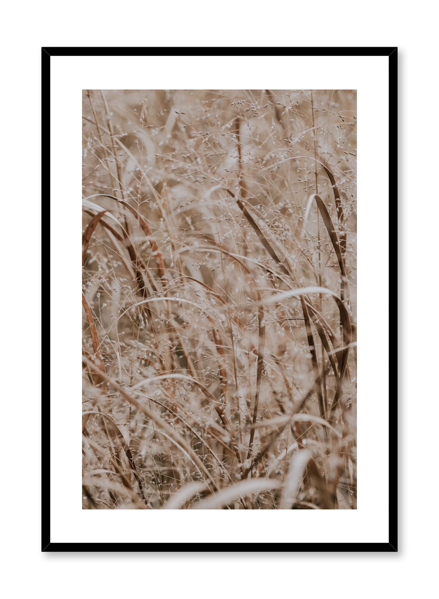 Minimalist design poster by Opposite Wall with Wheat Field photography