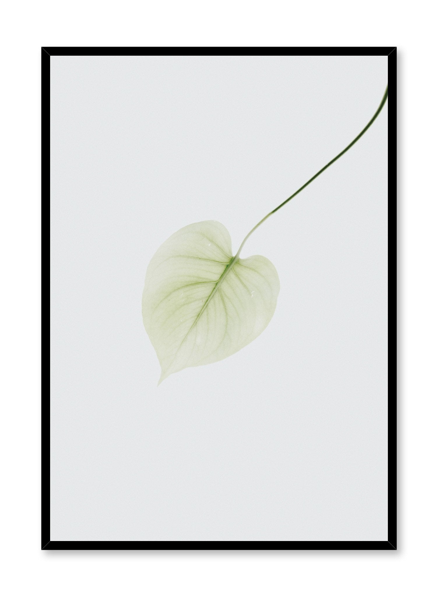 Minimalist design poster by Opposite Wall with Pothos Leaf photography