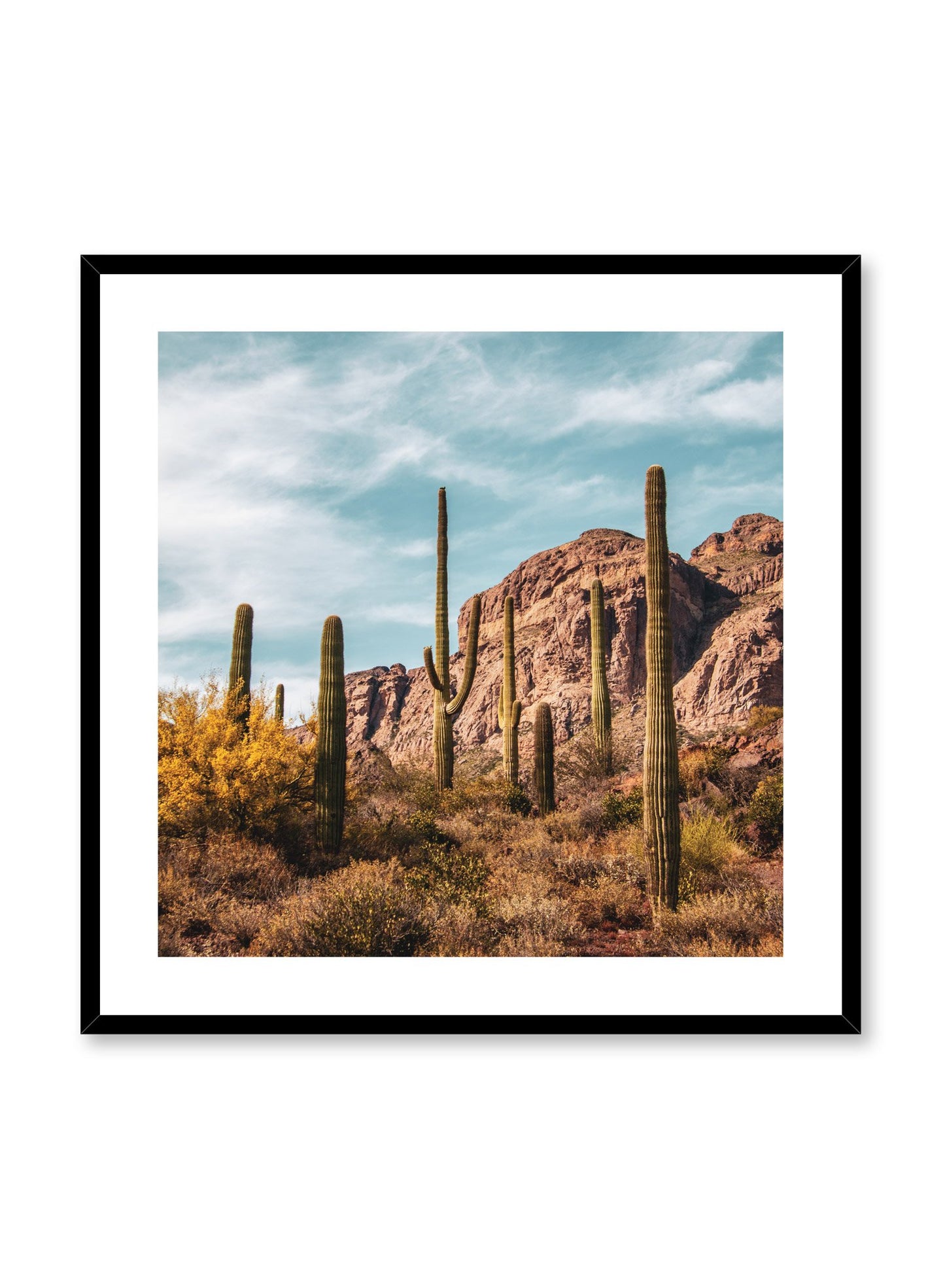 Desert Landscape, Poster