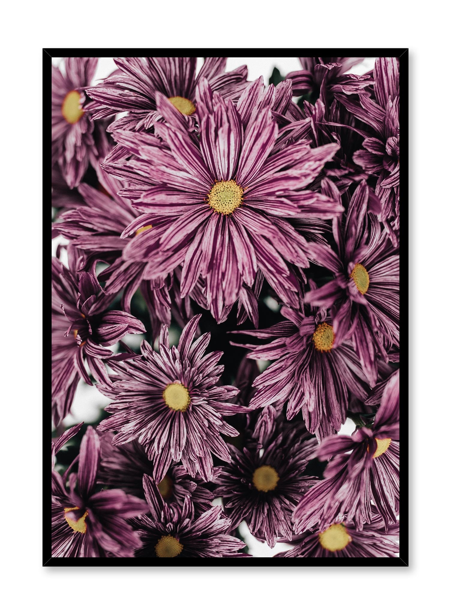 Minimalistic wall poster by Opposite Wall with mauve blossoms floral photography