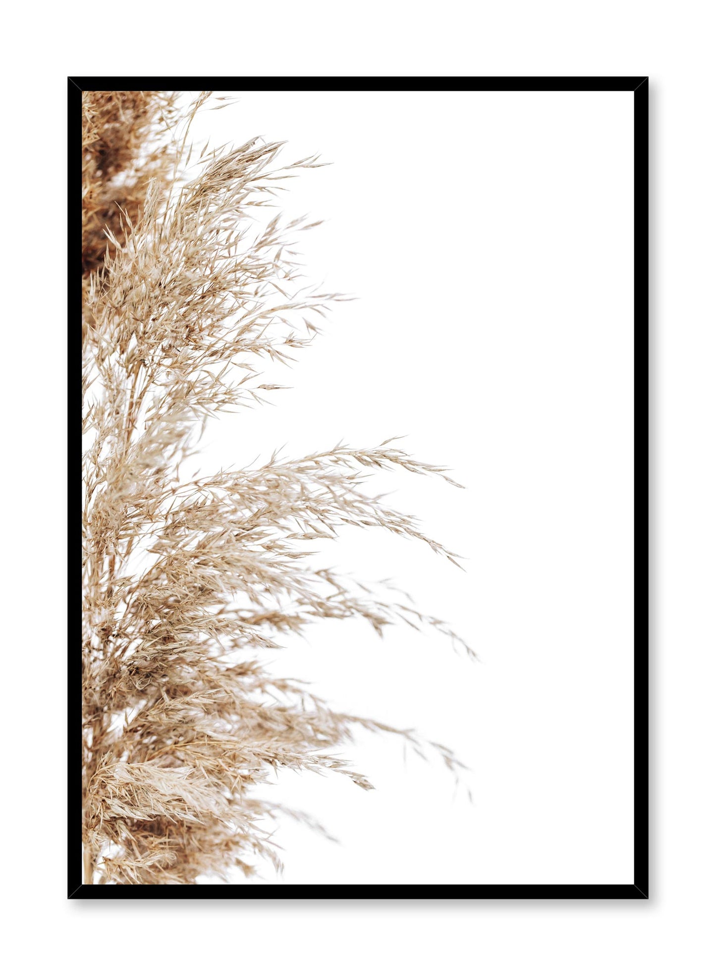 Minimalist wall poster by Opposite Wall with wispy grasses botanical photography