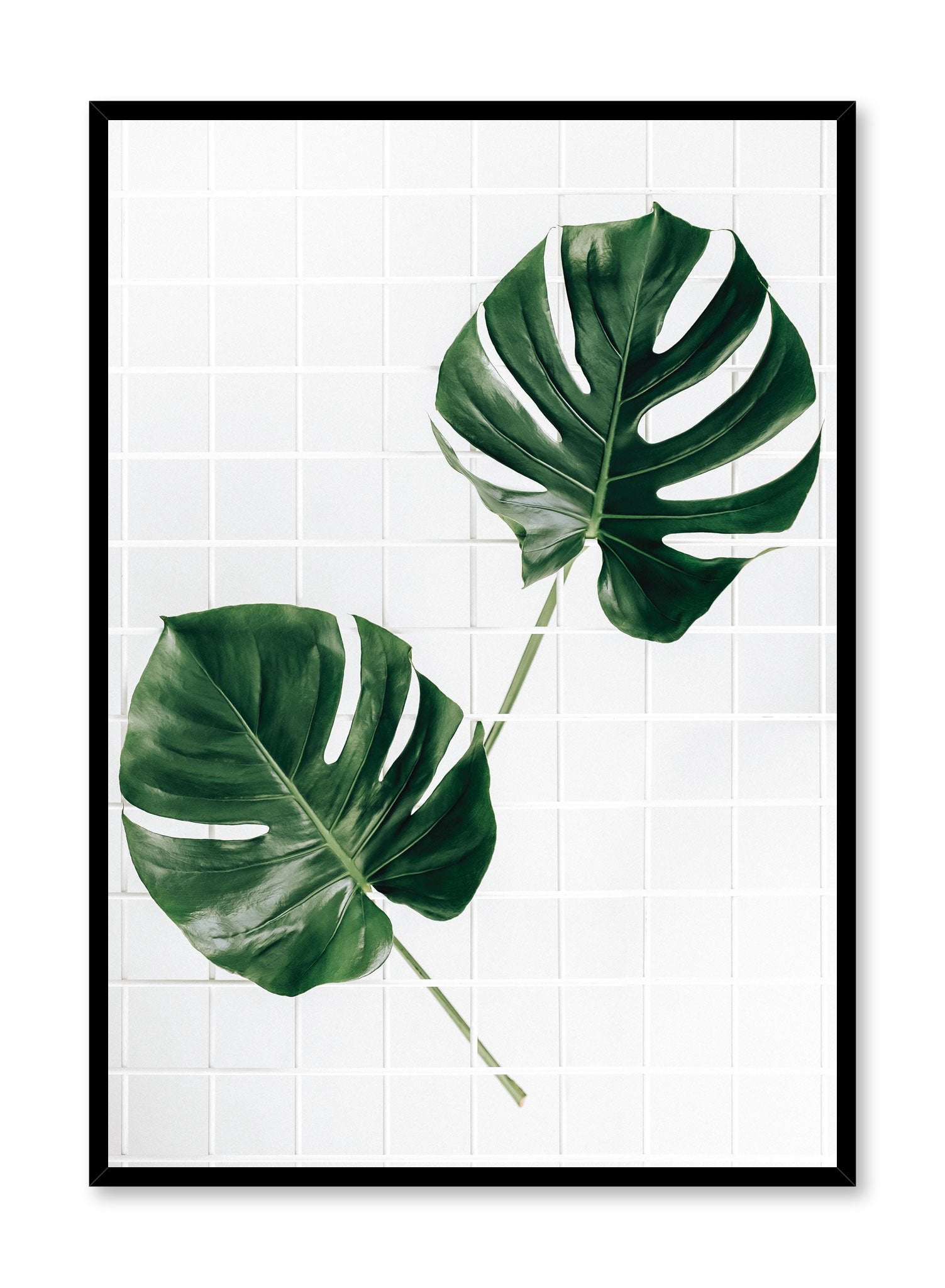 Feuille de Monstera - dessin au trait' Autocollant