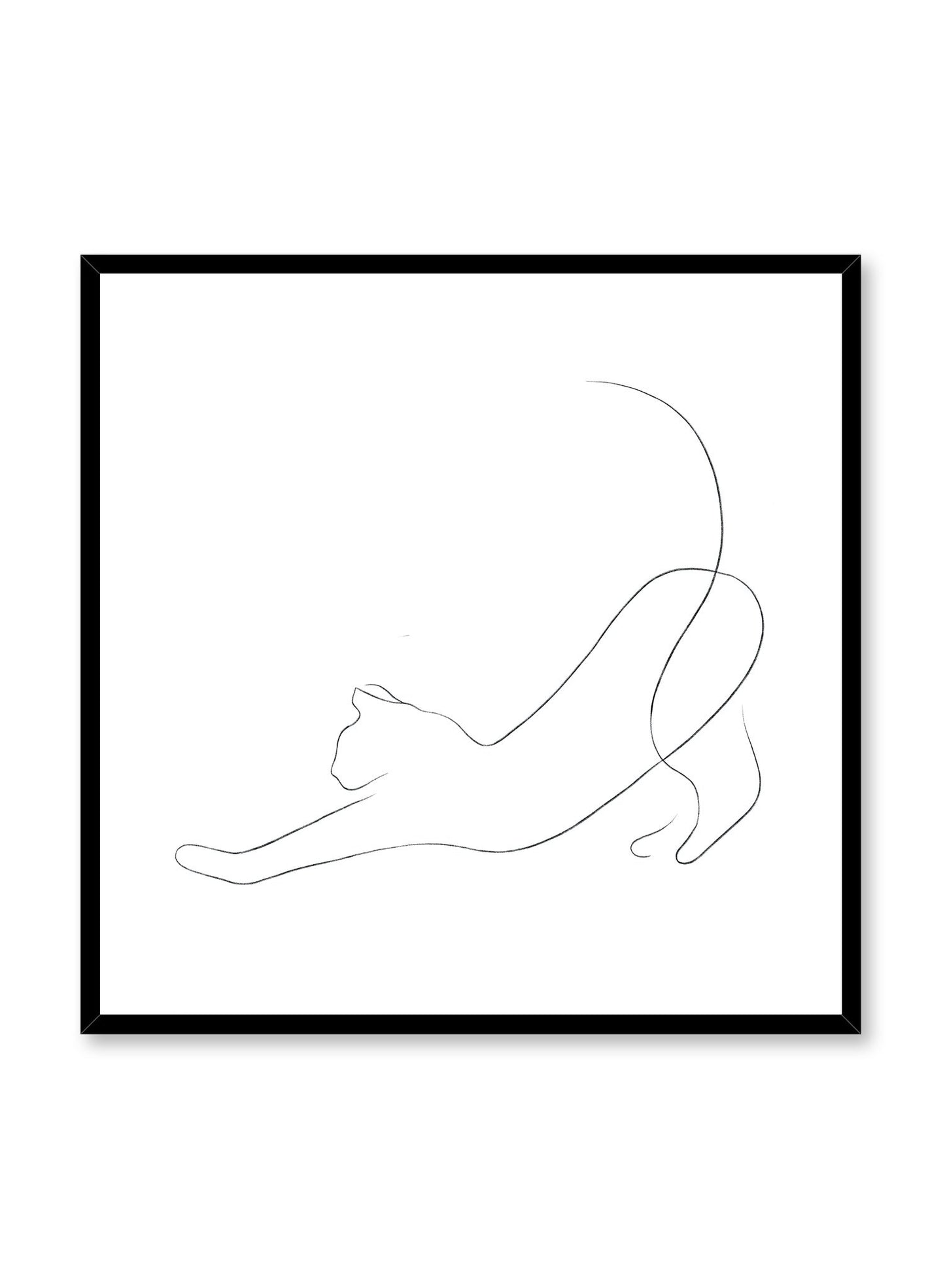 Modern minimalist poster by Opposite Wall with abstract illustration of stretching cat line art