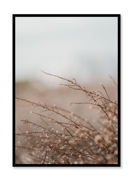 "Burgeoning Branches" is a botanical photography poster by Opposite Wall of delicate brown branches with small blooming buds.