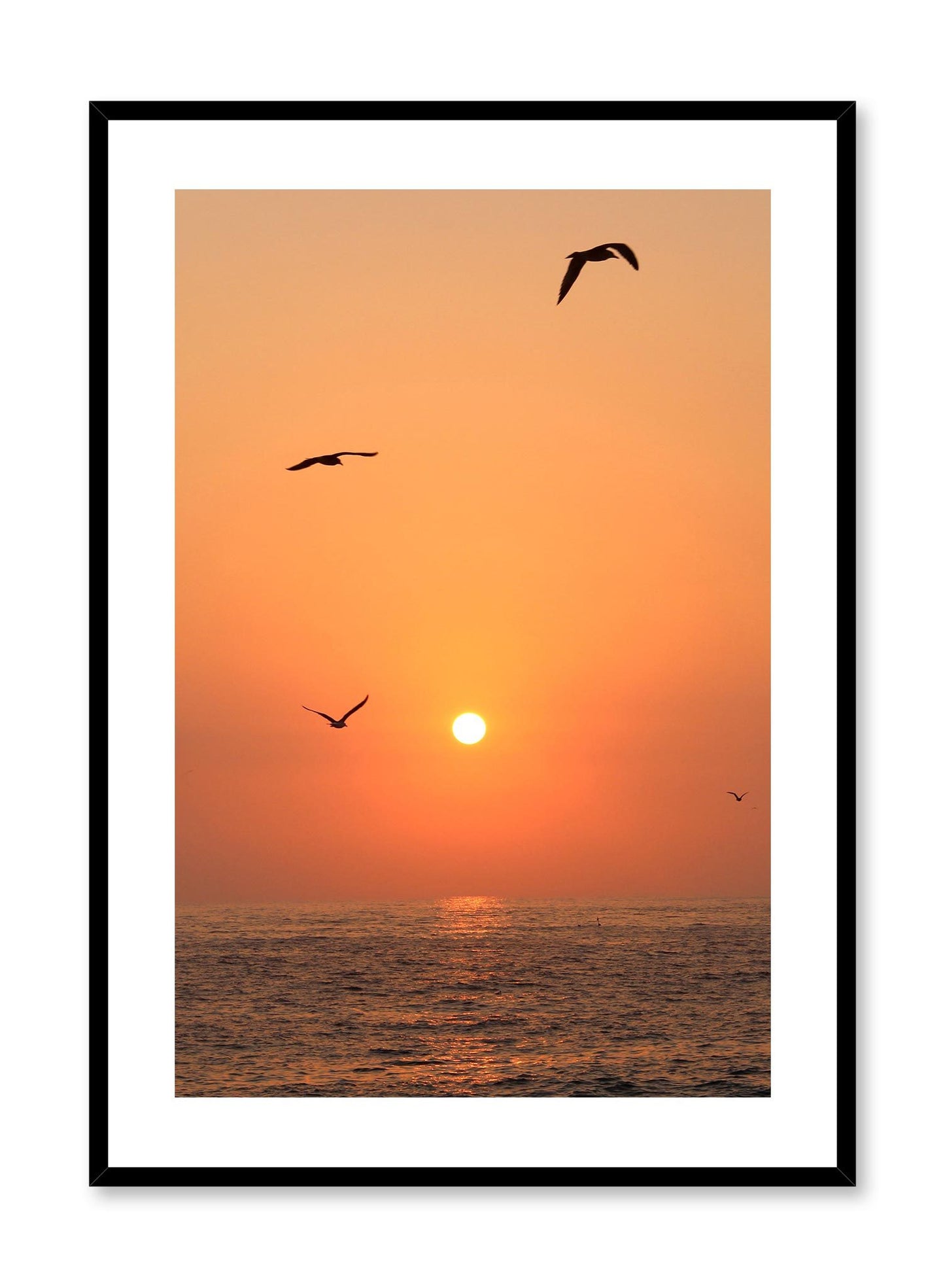 Flying into the Sunset is a minimalist photography of a scenery where three birds are flying above the sea as the orange sun sets by Opposite Wall.