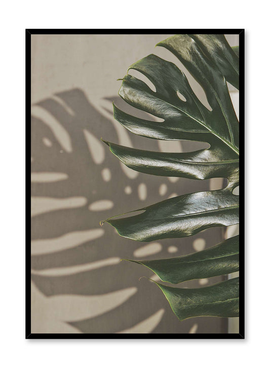Shady Monstera is a minimalist photography of the shadow of a monstera leaf reflected on a hard surface with the actual leaf on its right by Opposite Wall.