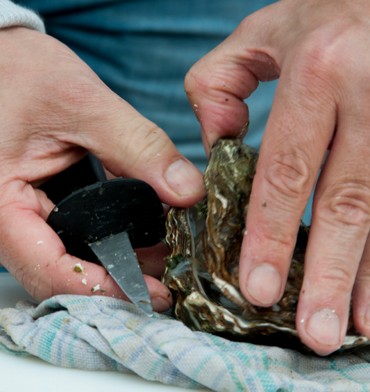 How to shuck an oyster like a pro with Daniel Notkin