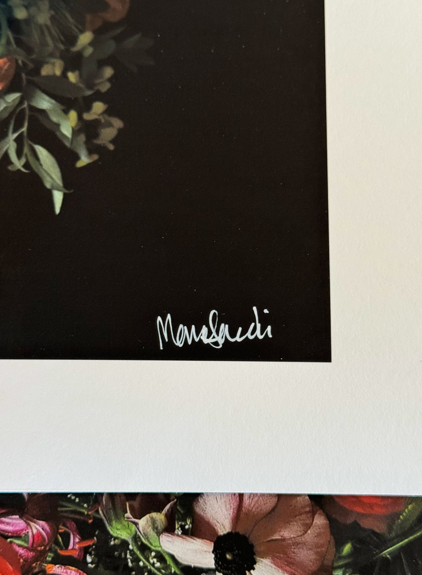Chiaroscuro Garden signed, Marc Sardi - Limited Edition 1/1