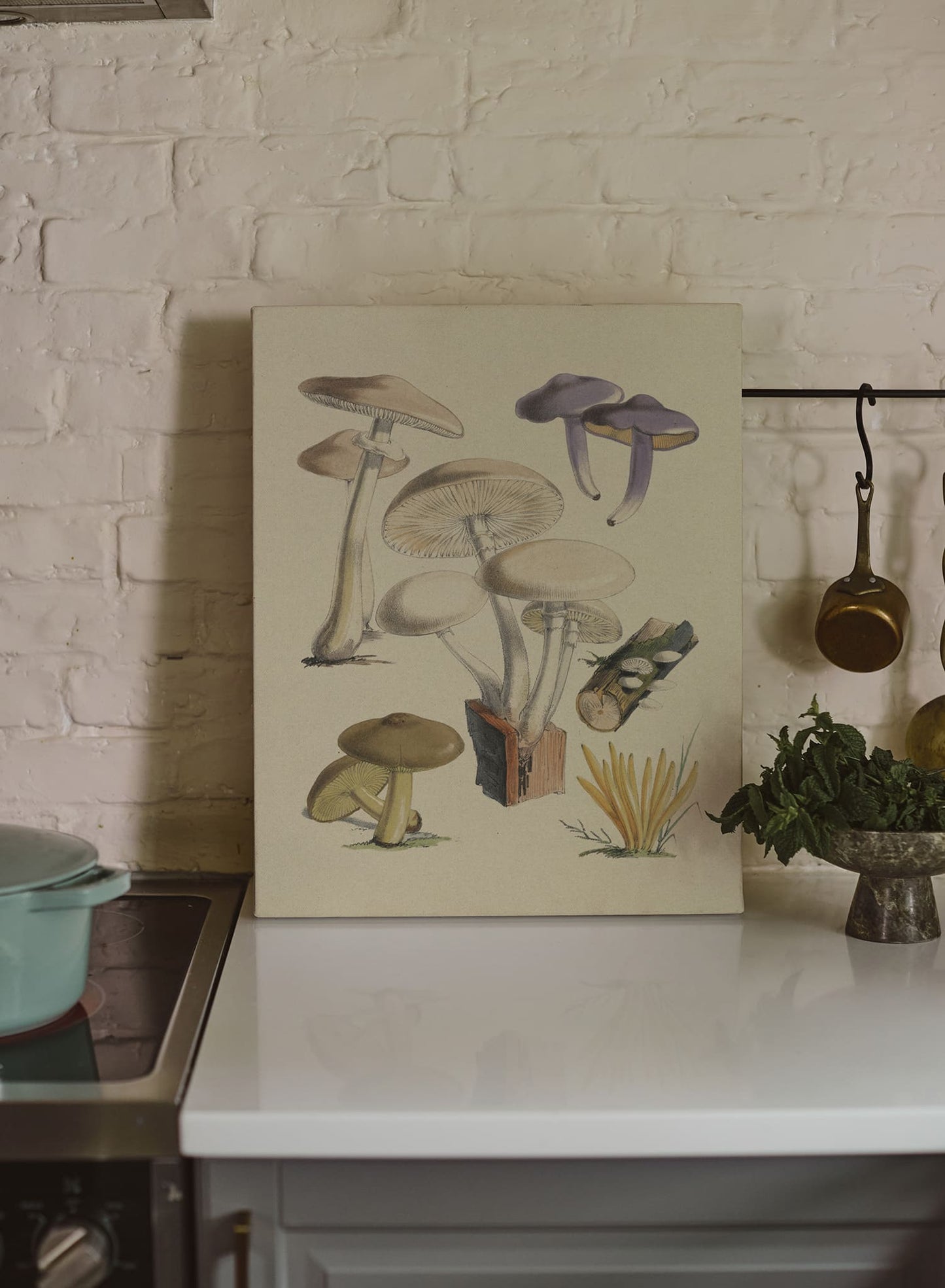 Mushroom Study II, Poster