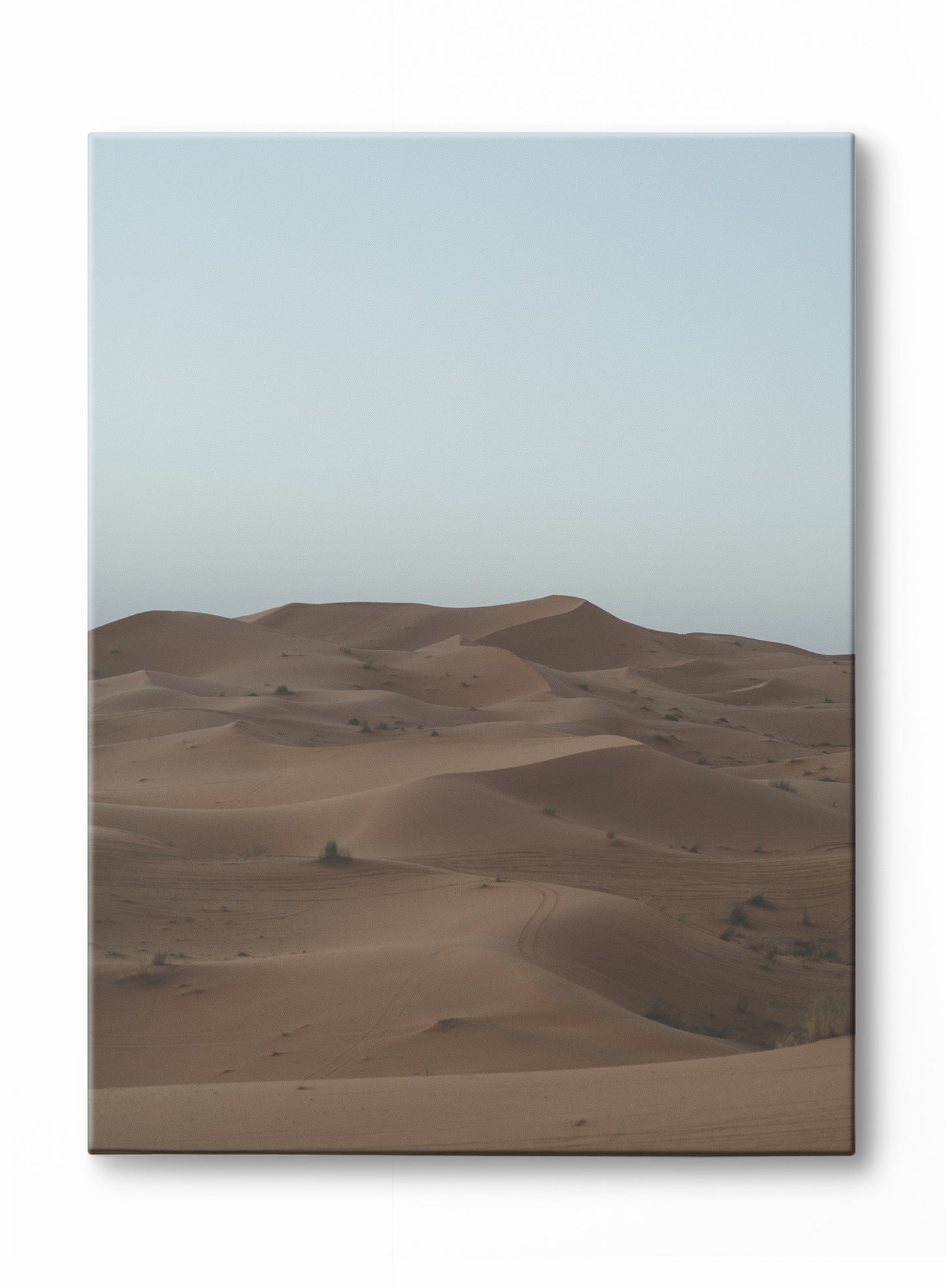 Saharan Serenity, Canvas