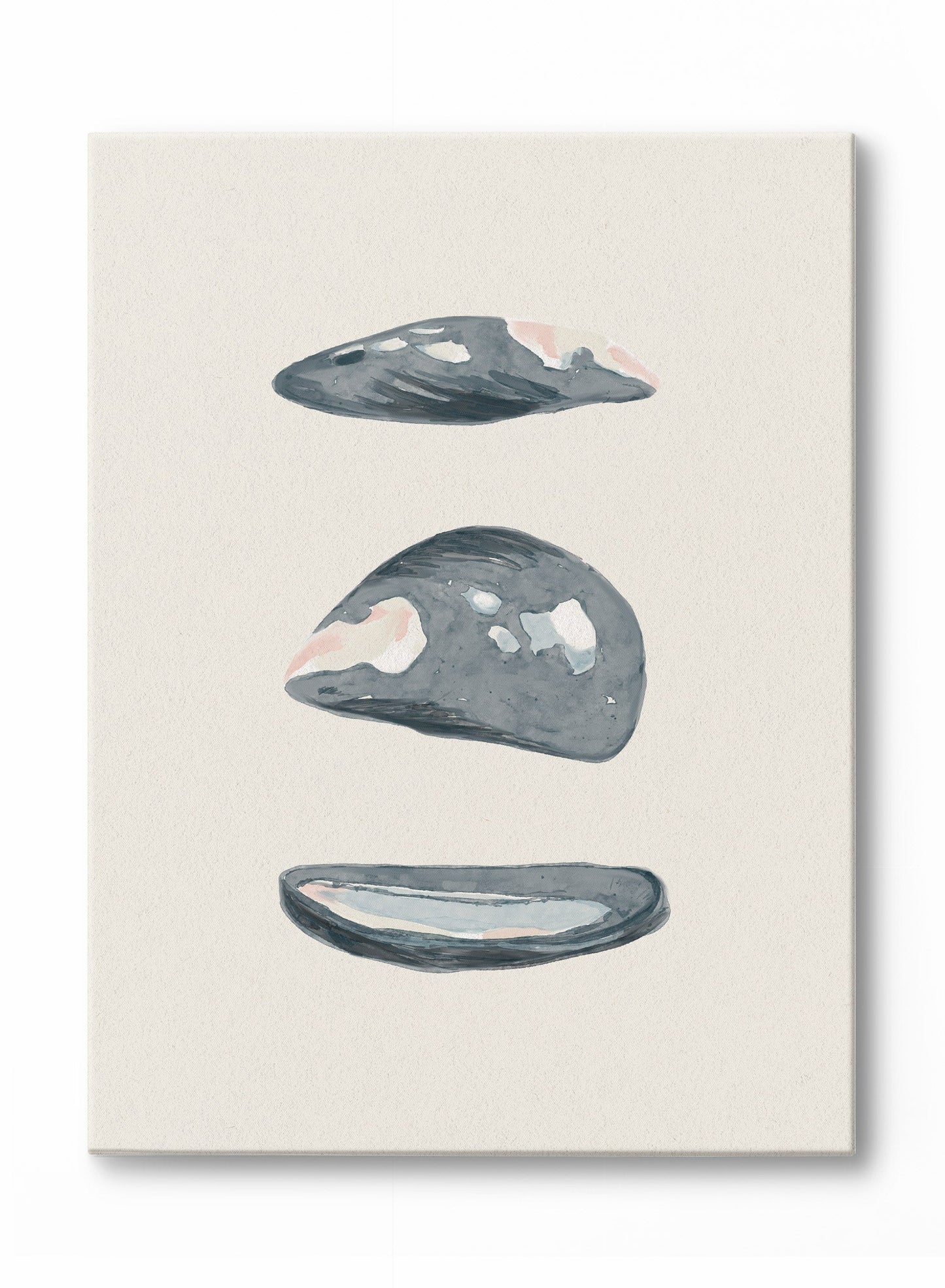 Mussel Memory, Canvas