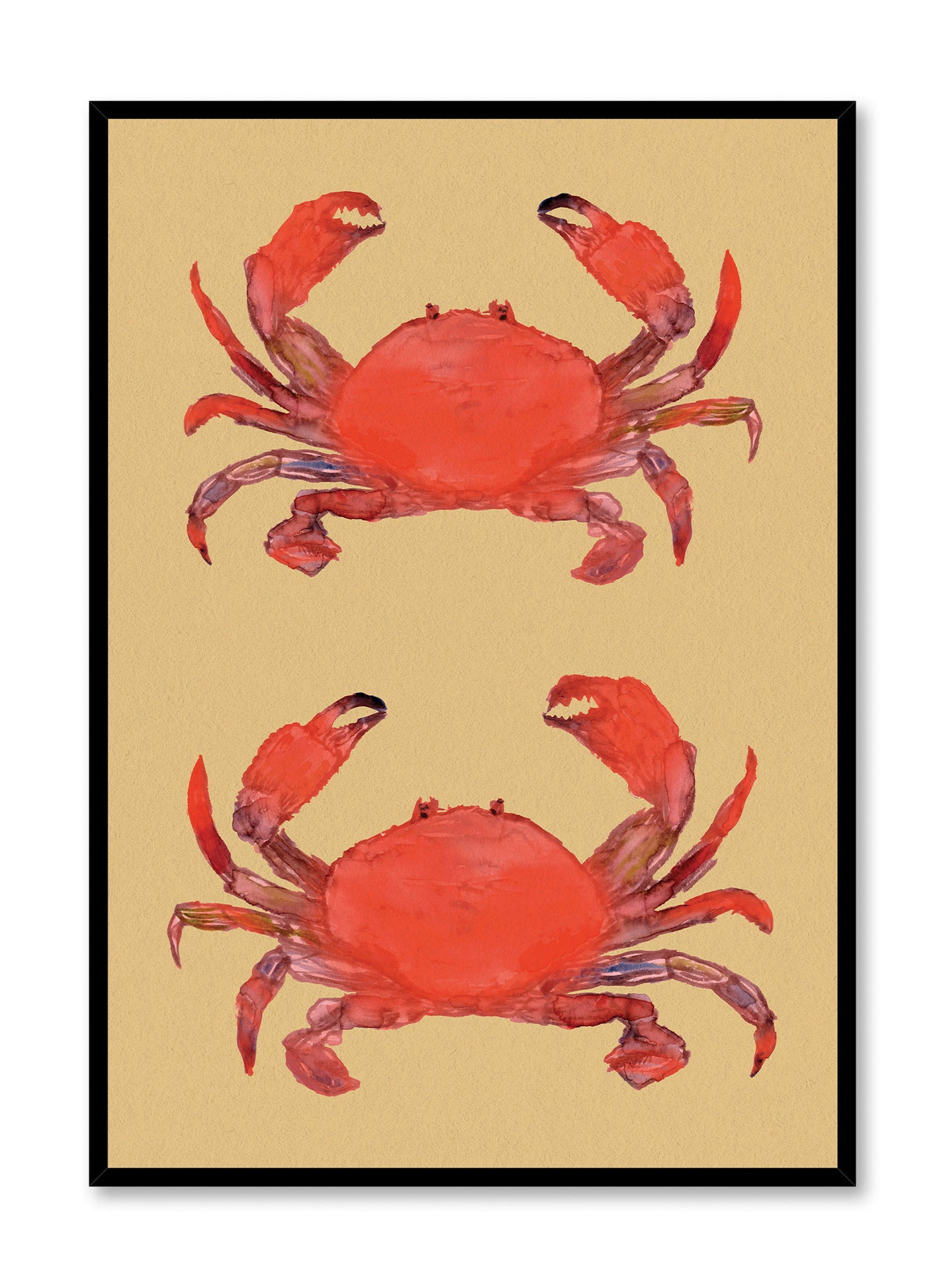 Duo de crabes, Affiche
