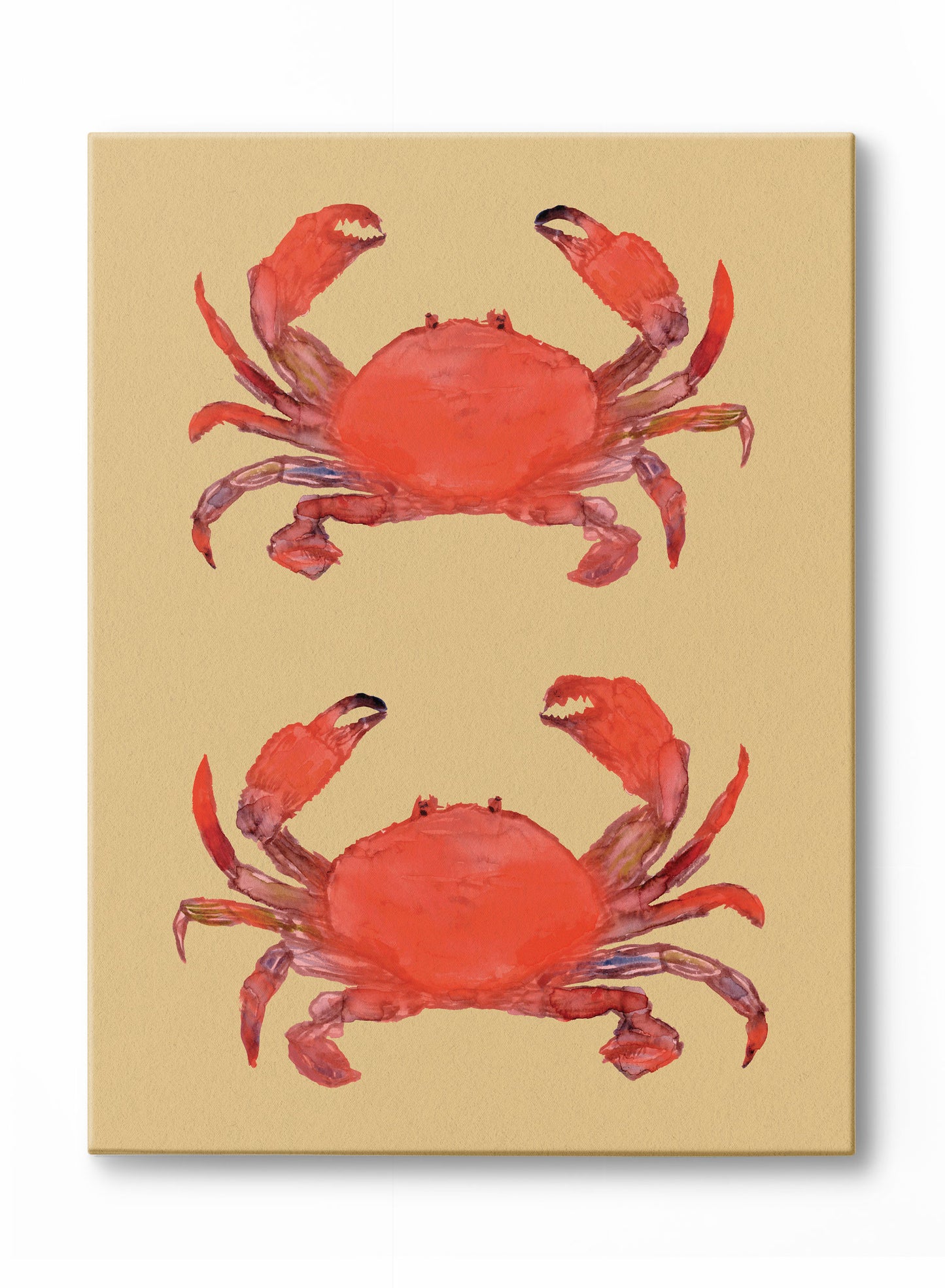 Duo de crabes, Affiche