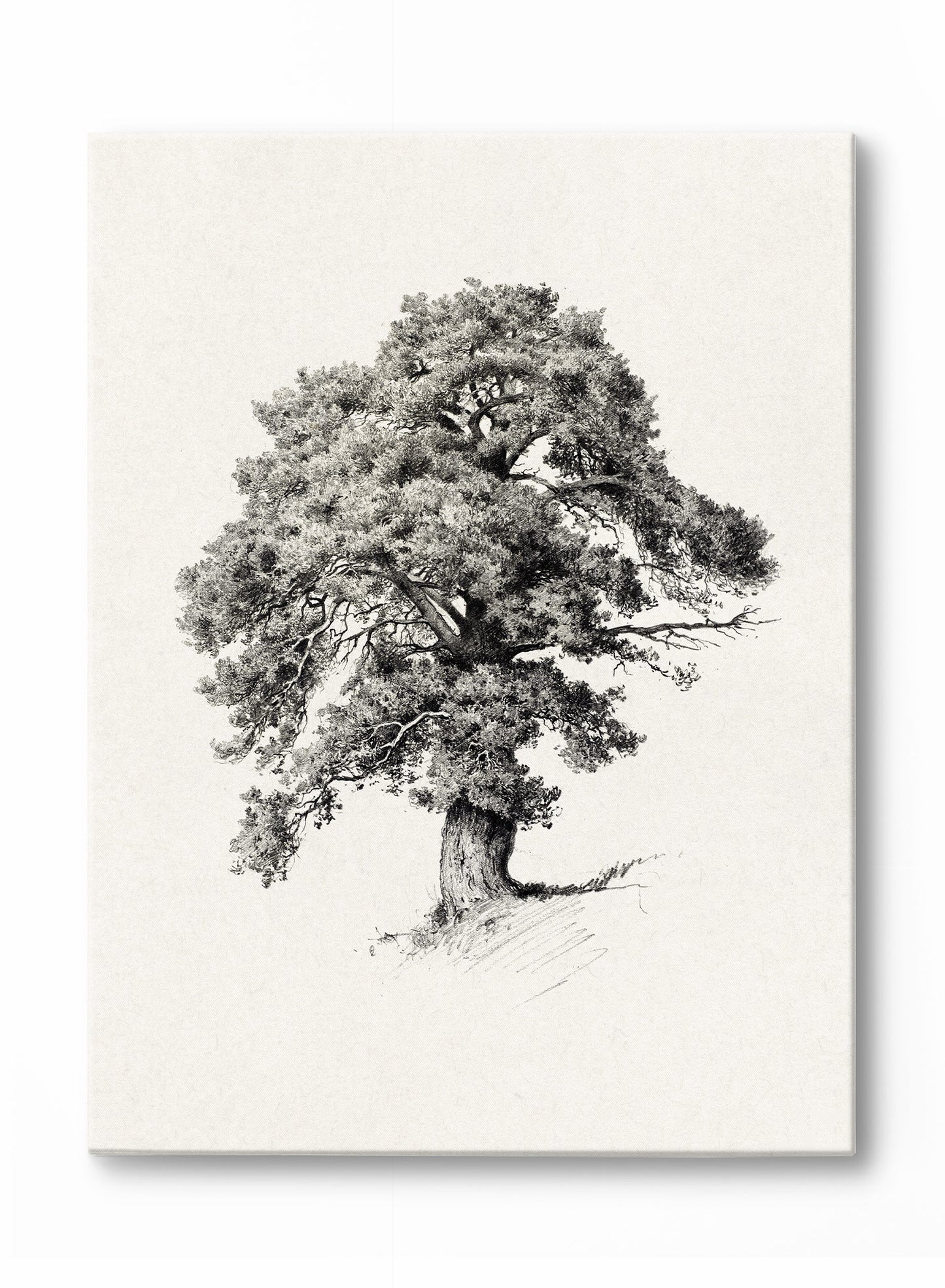 Arbre majestique, Œuvre sur toile