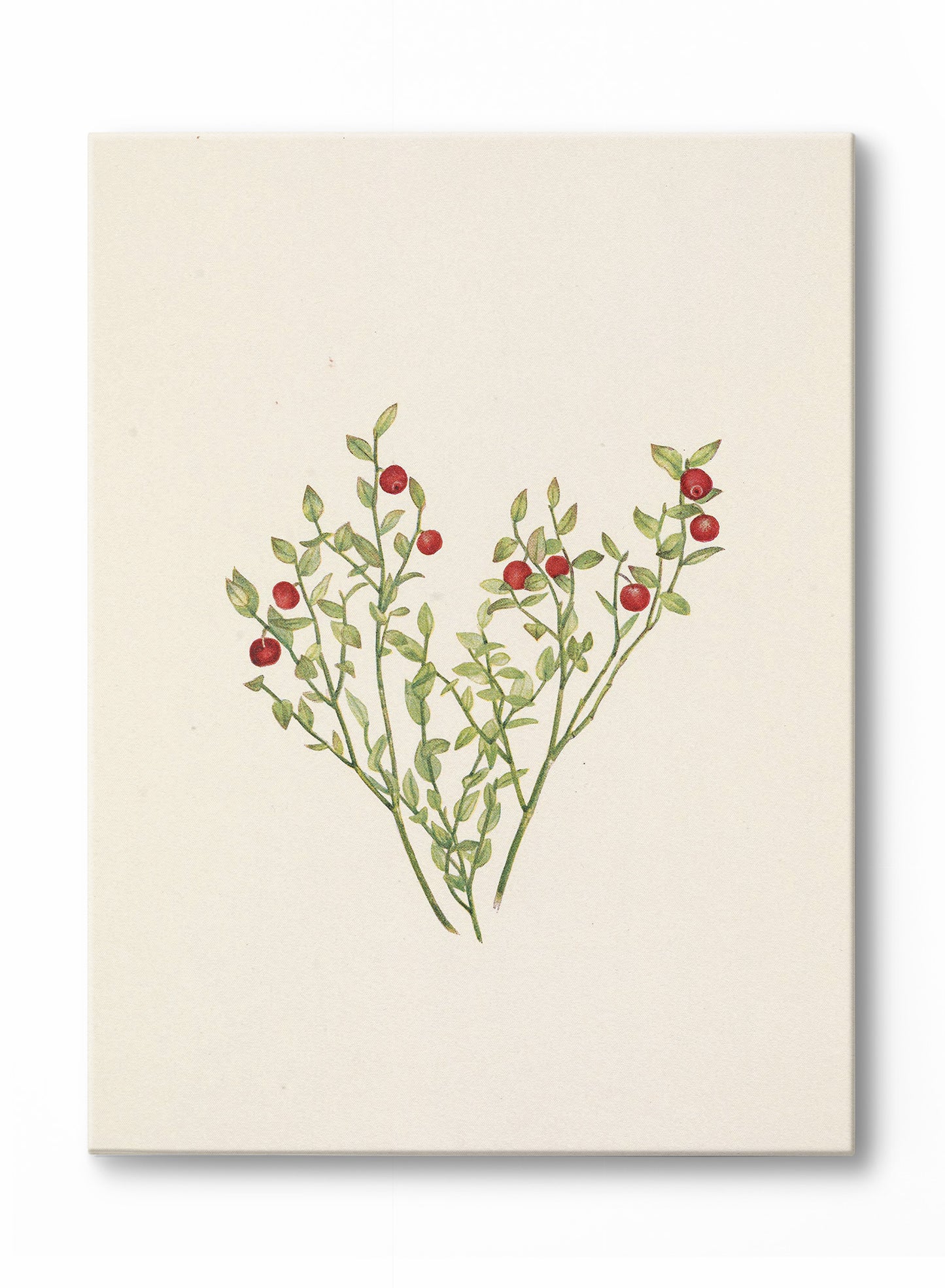 Winter Berry, Canvas