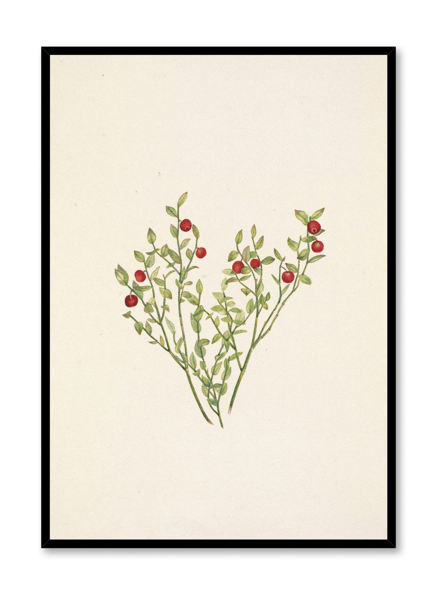 Winter Berry, Poster