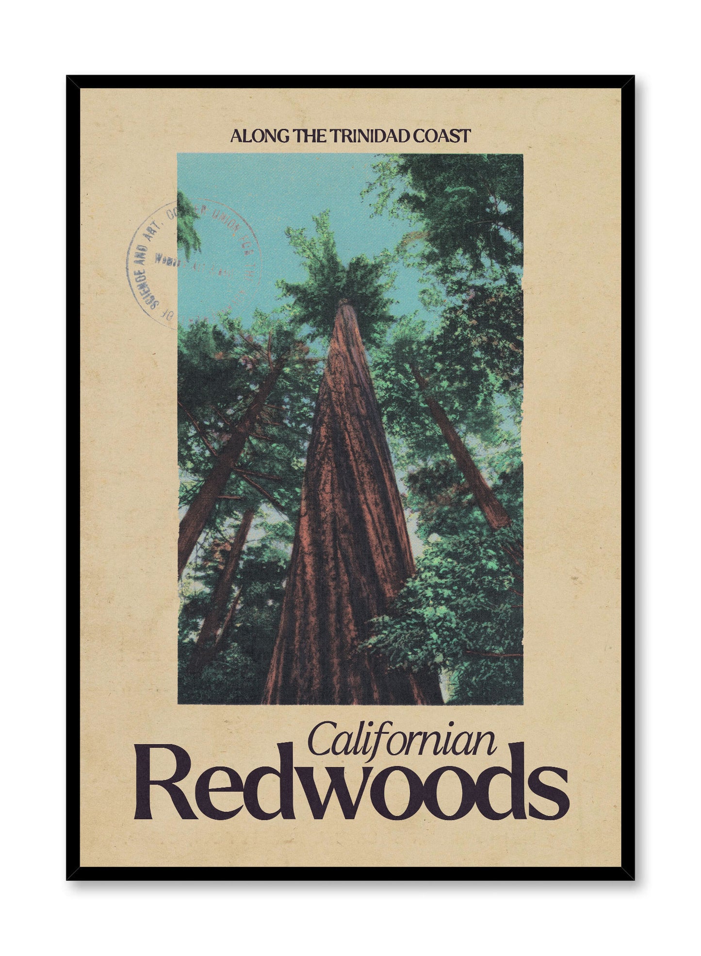 Depuis la Forêt des Séquoias, Californie, Affiche