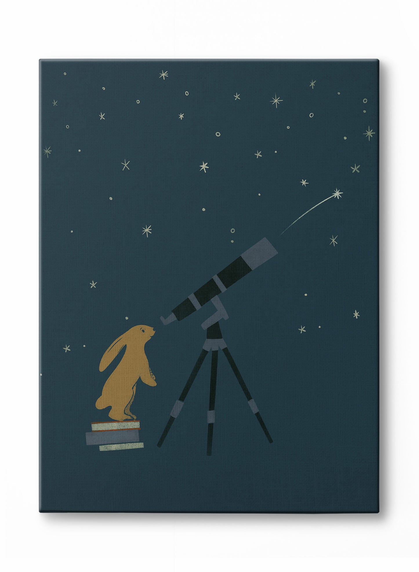 Astronome en herbe, Affiche