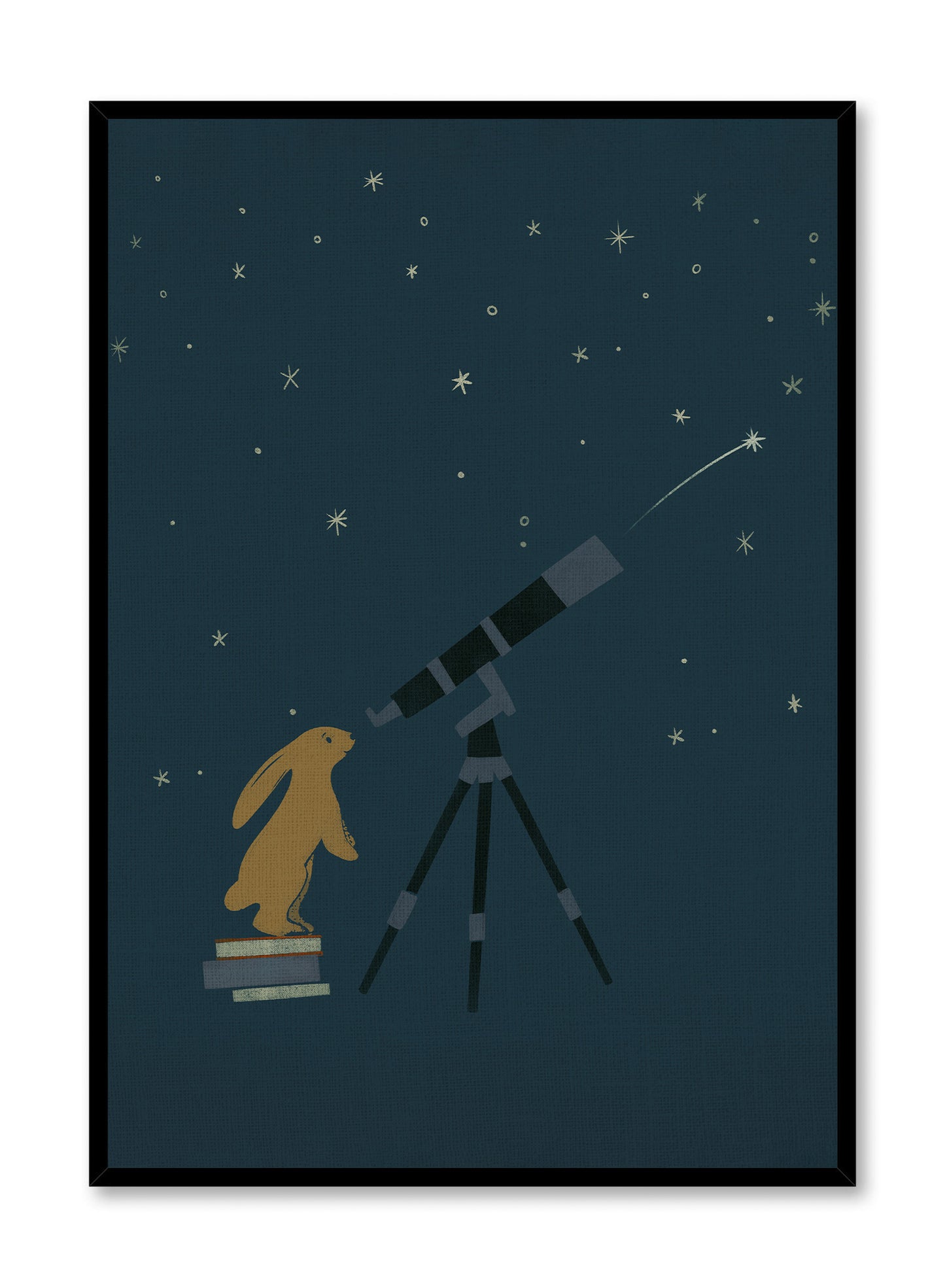 Astronome en herbe, Affiche