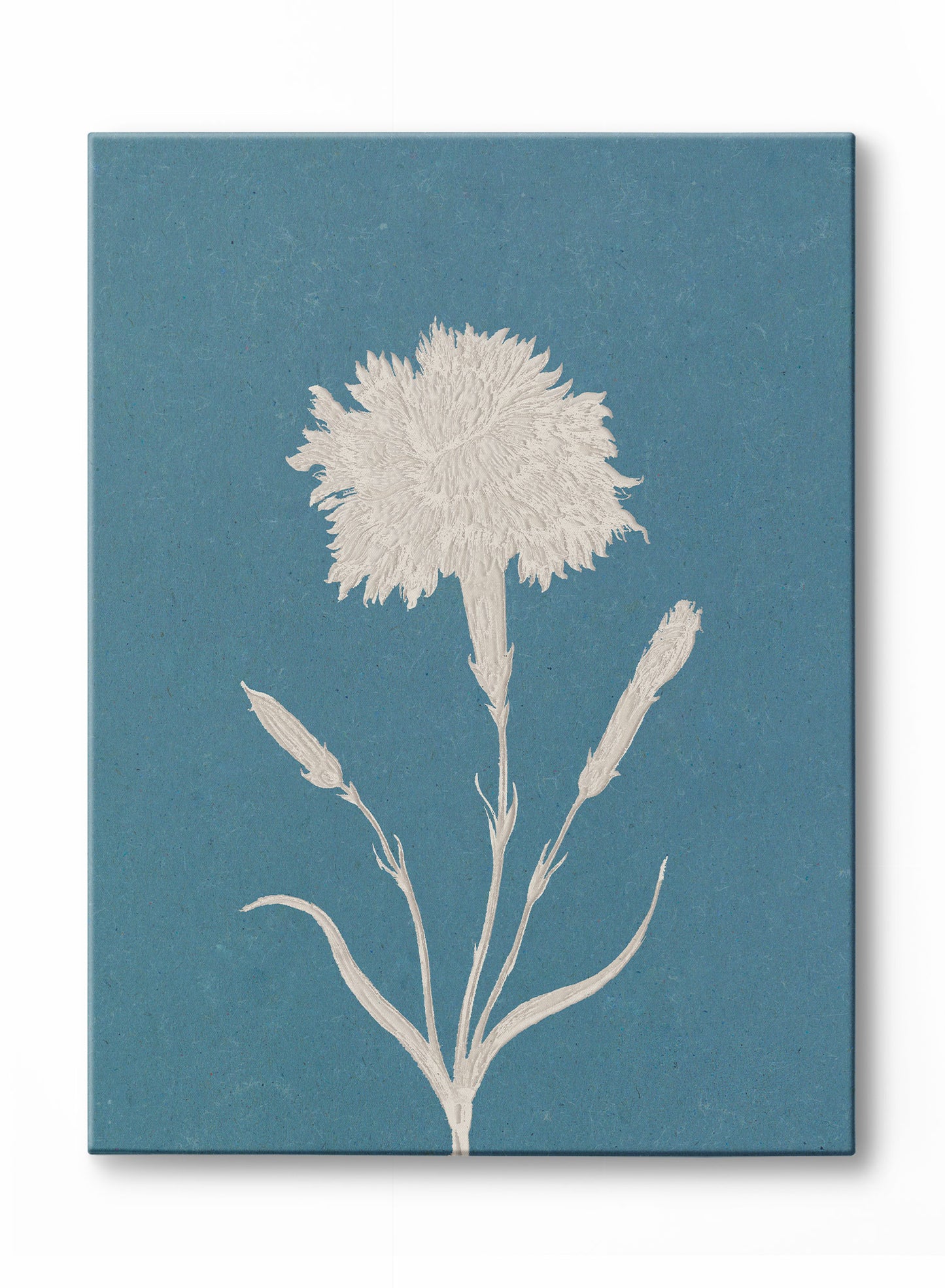 Papercut Carnation, Canvas