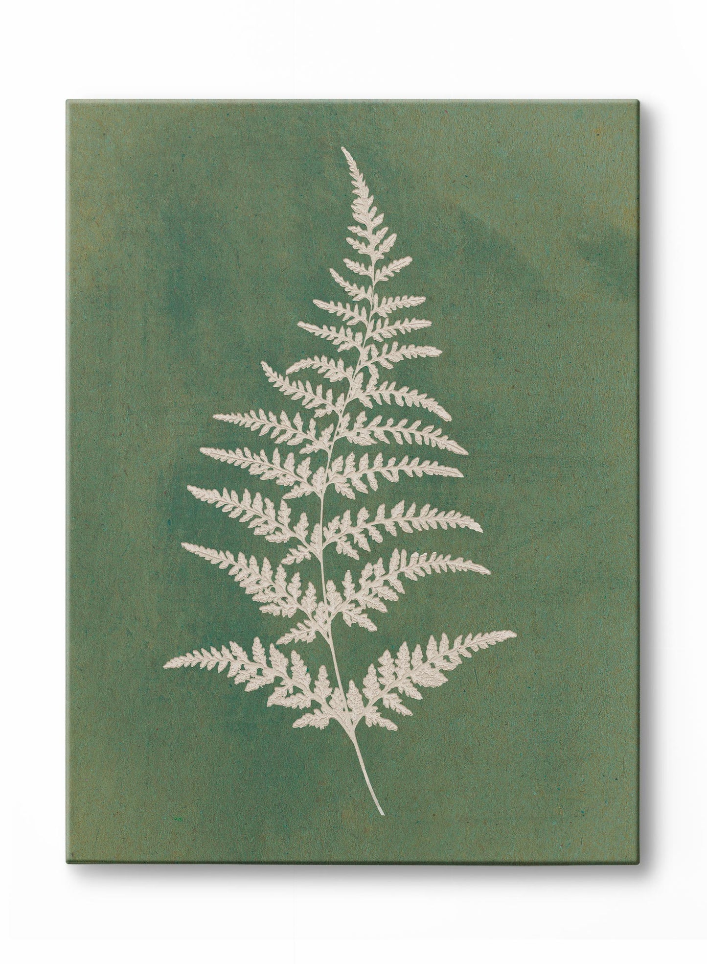 Papercut Wood Fern, Poster