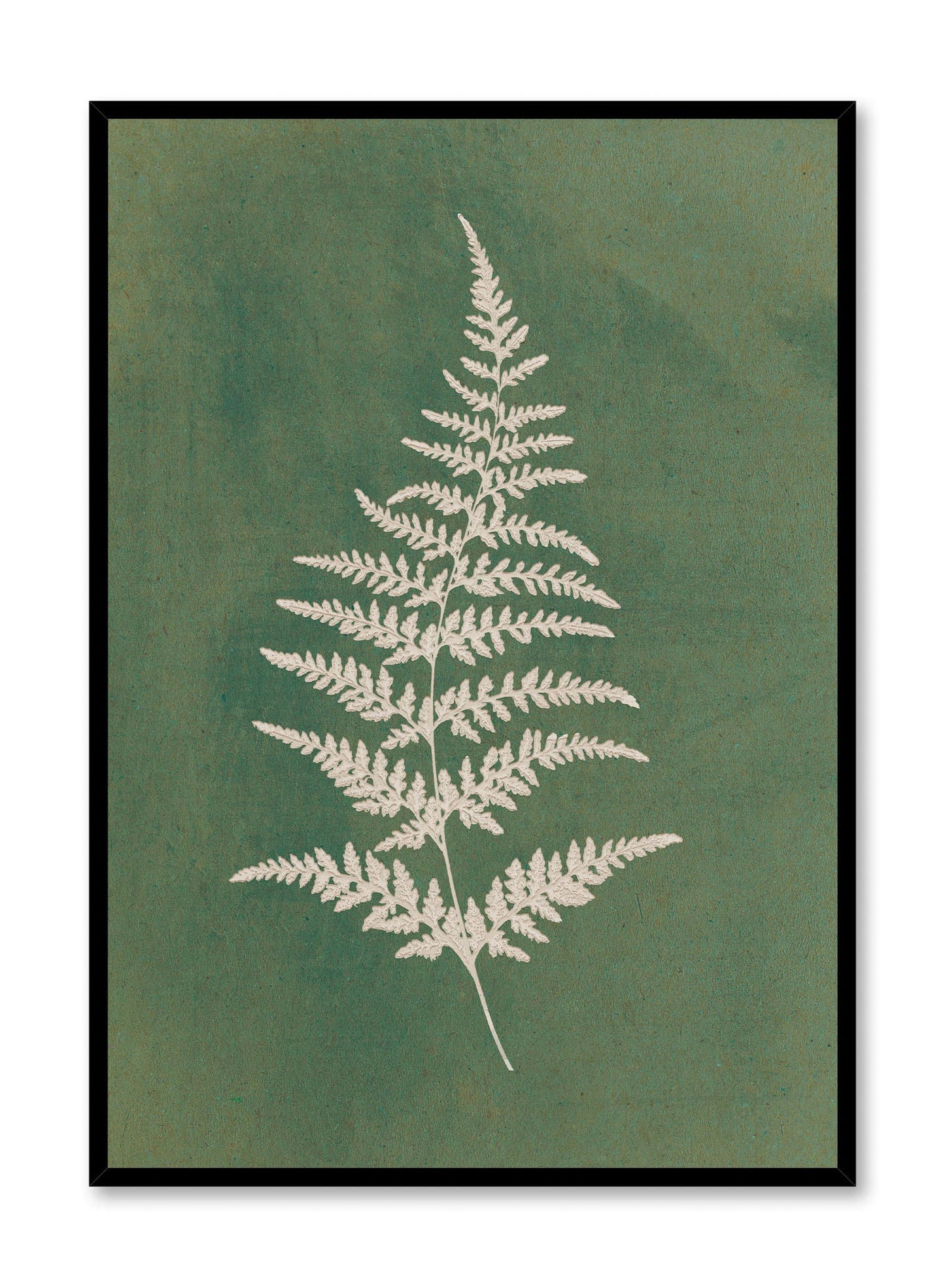 Papercut Wood Fern, Poster