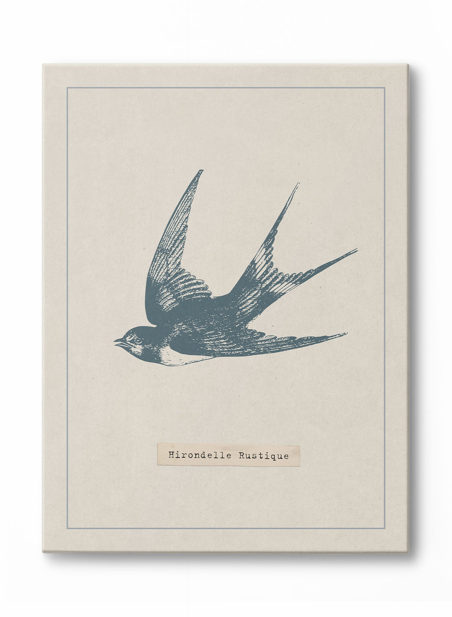 Swooping Swallow, Poster