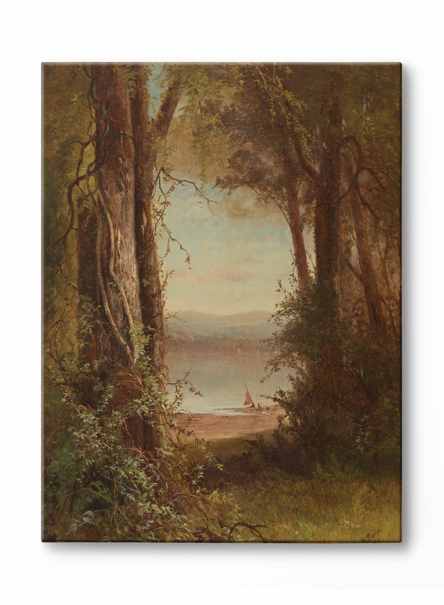 A Forest View, Poster