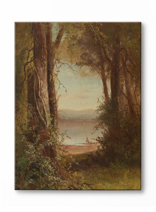 Vue de la forêt, Œuvre sur toile