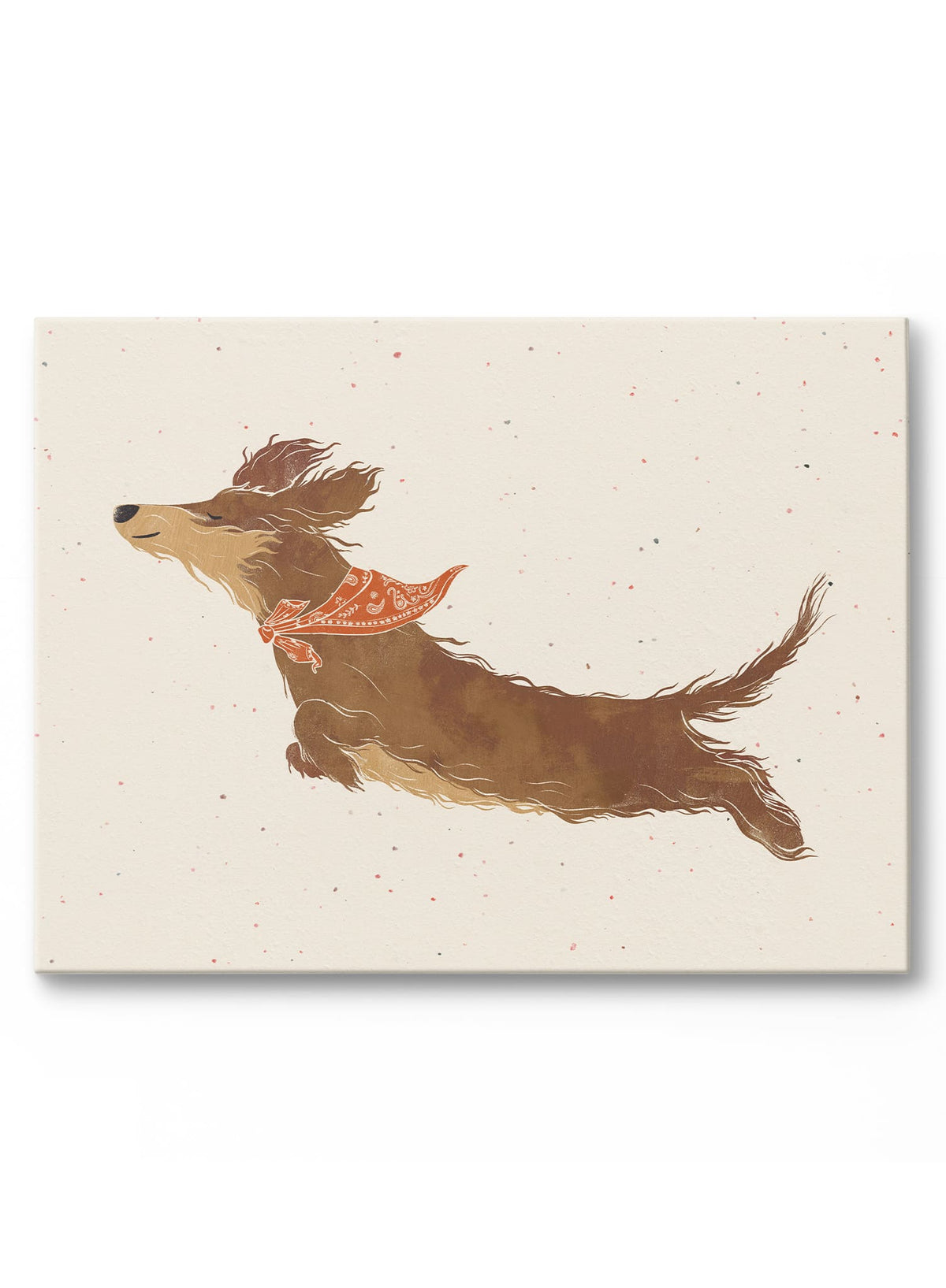 Dave the Dachshund, Poster