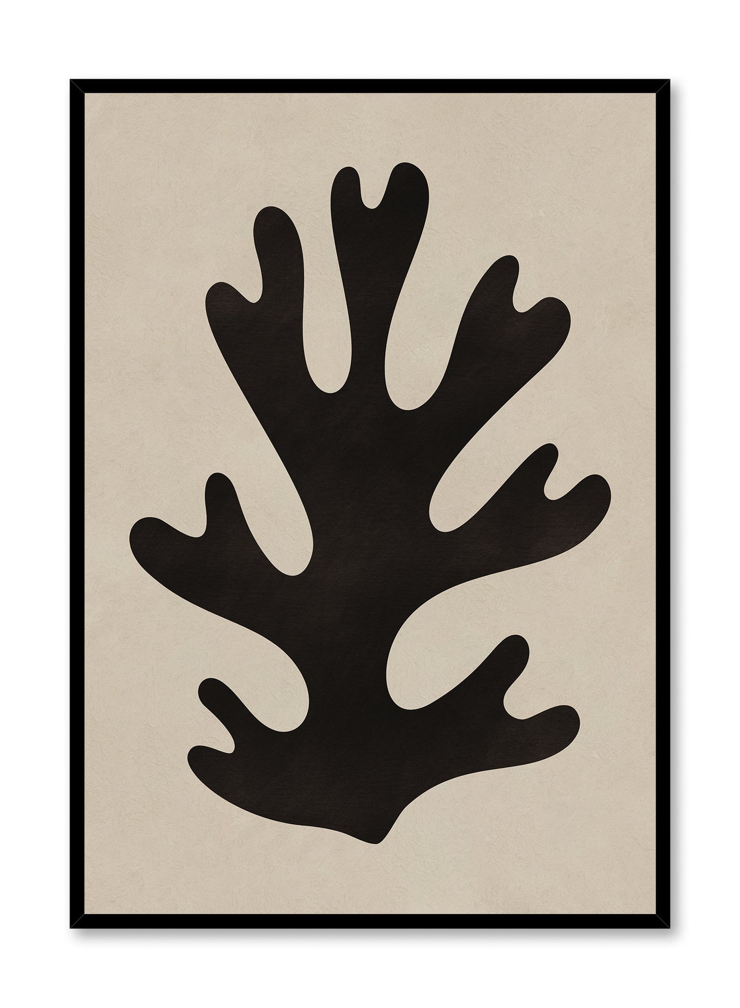 Rooted Shadow, Poster