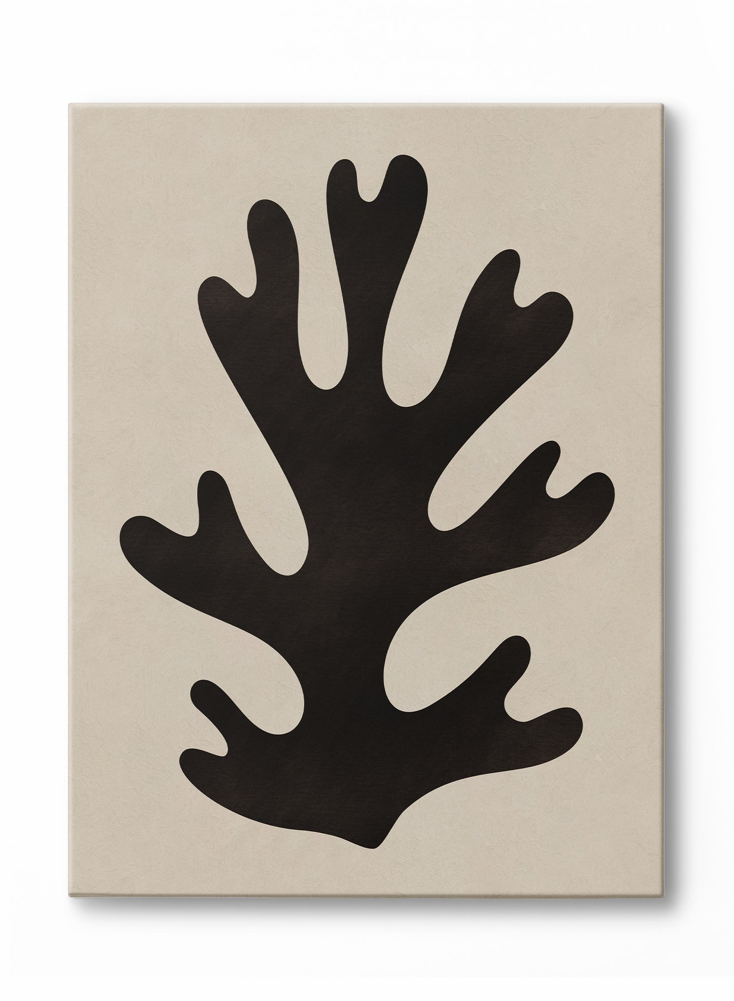 Rooted Shadow, Poster