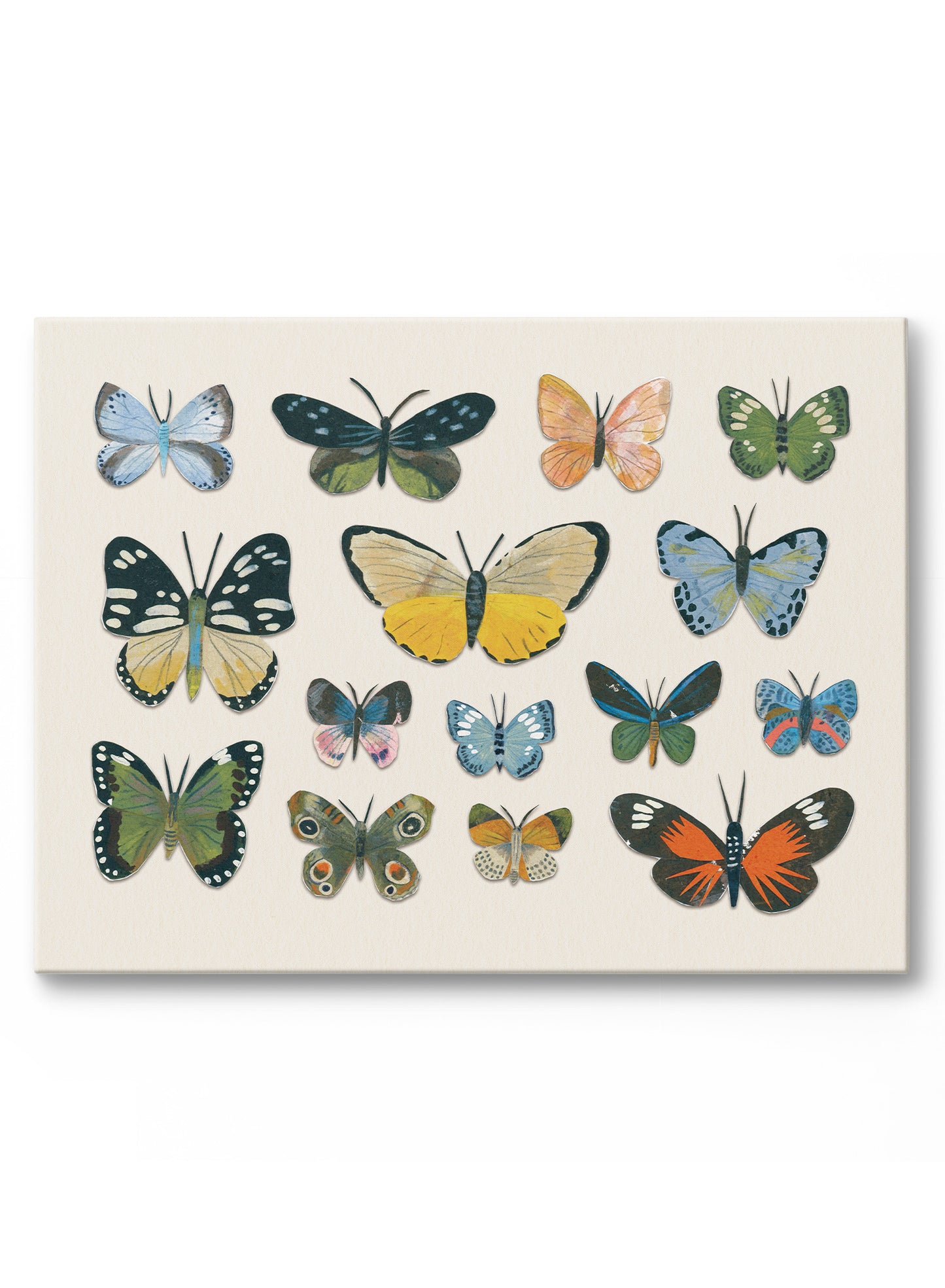 Little Butterfly Beauties, Poster