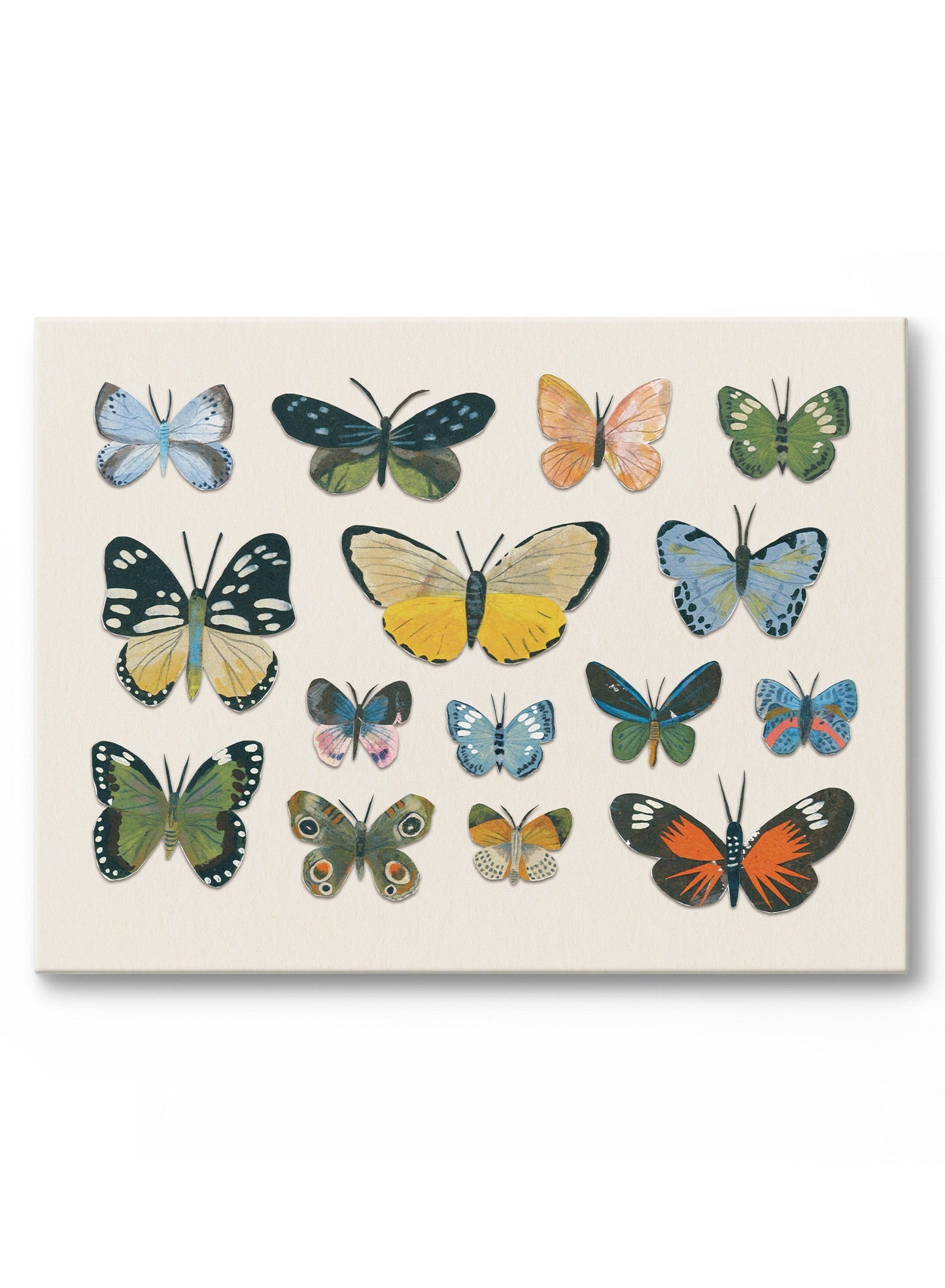 Little Butterfly Beauties, Canvas
